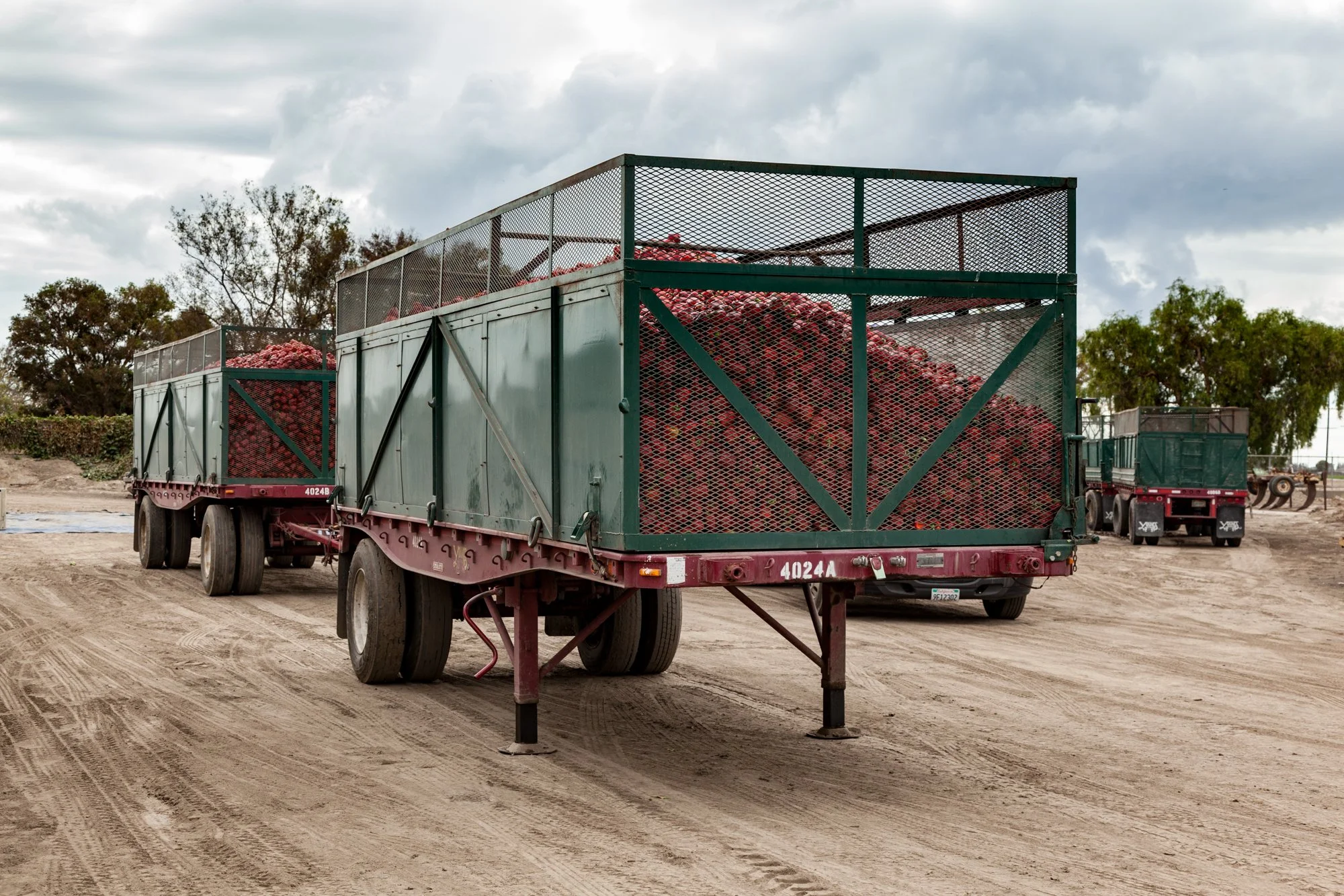 Farm- Uesugi Farms - Camarillo - 54.jpg