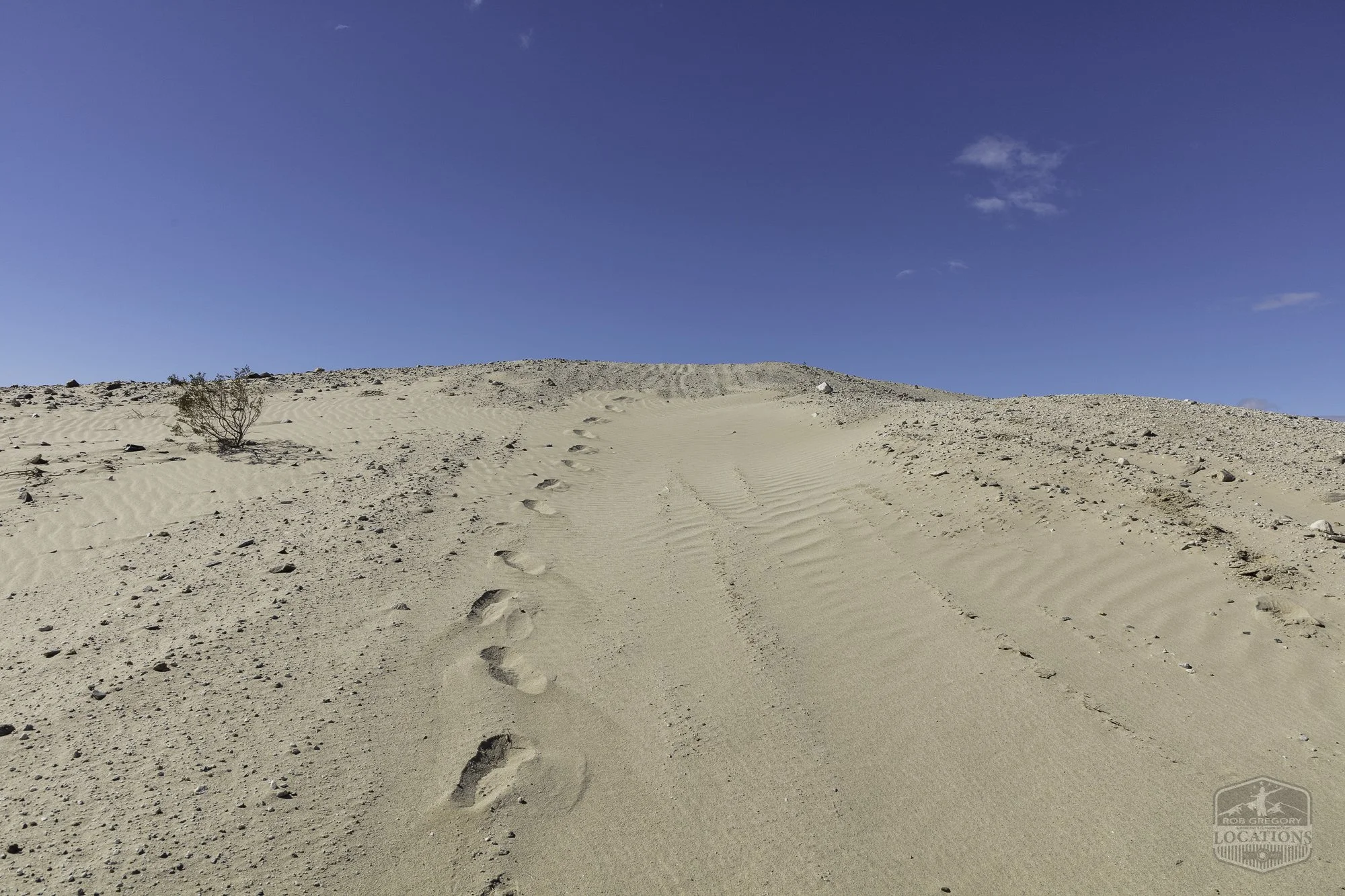 Ocotillo Wells SVRA - County Line Rd @ Dunes - 101525 -12.jpg