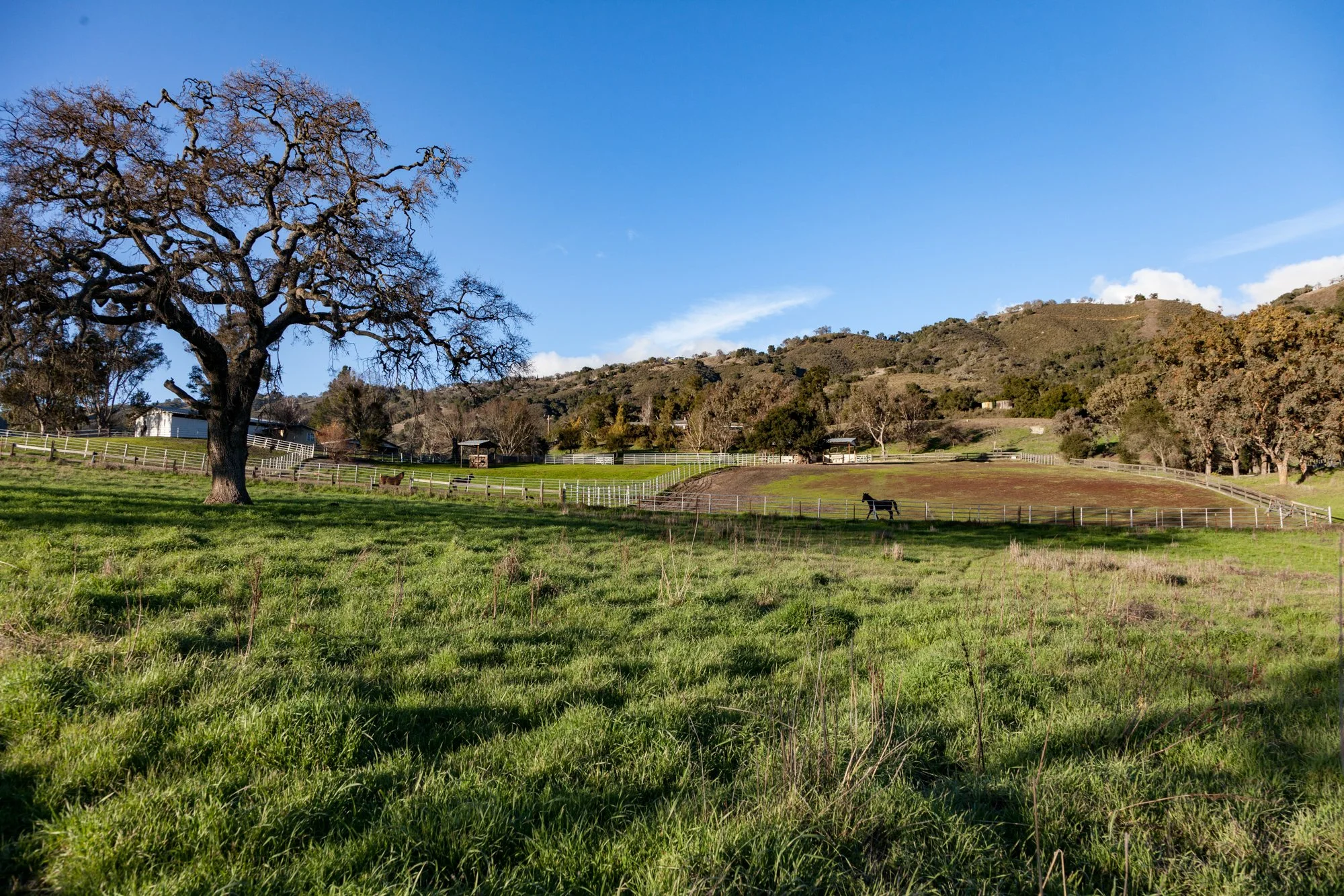 Rnch- Galante Ranch & Vineyards - Carmel Valley - 66.jpg