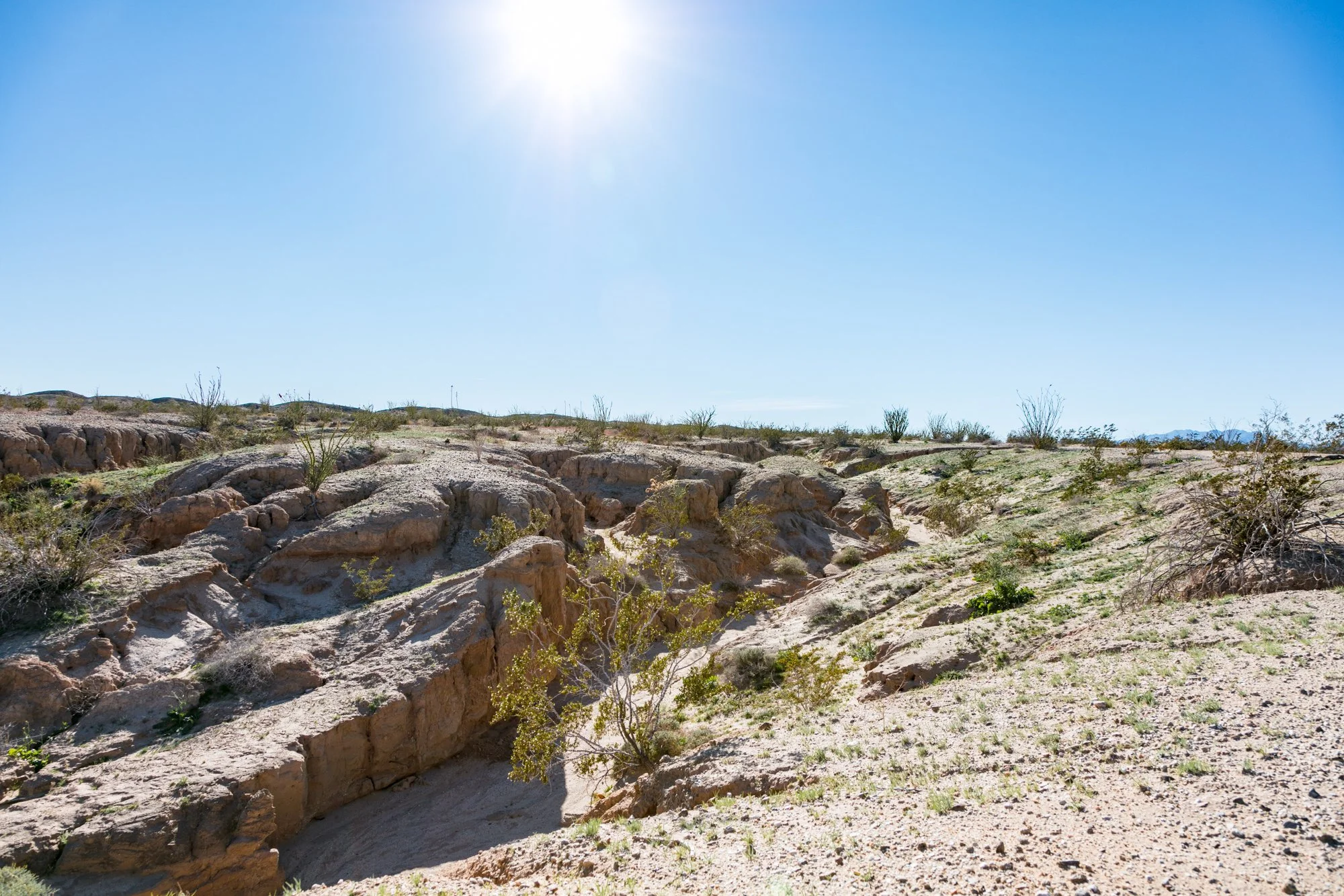Ntr- Anza Borrego - Badlands - 0219 -1.jpg