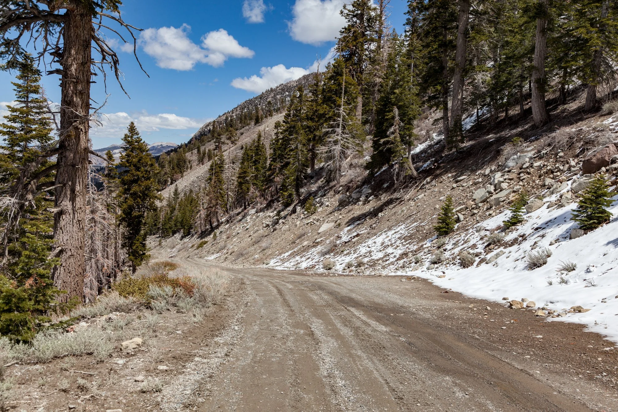 Ntr- June Mtn - Maint Rd -26.jpg