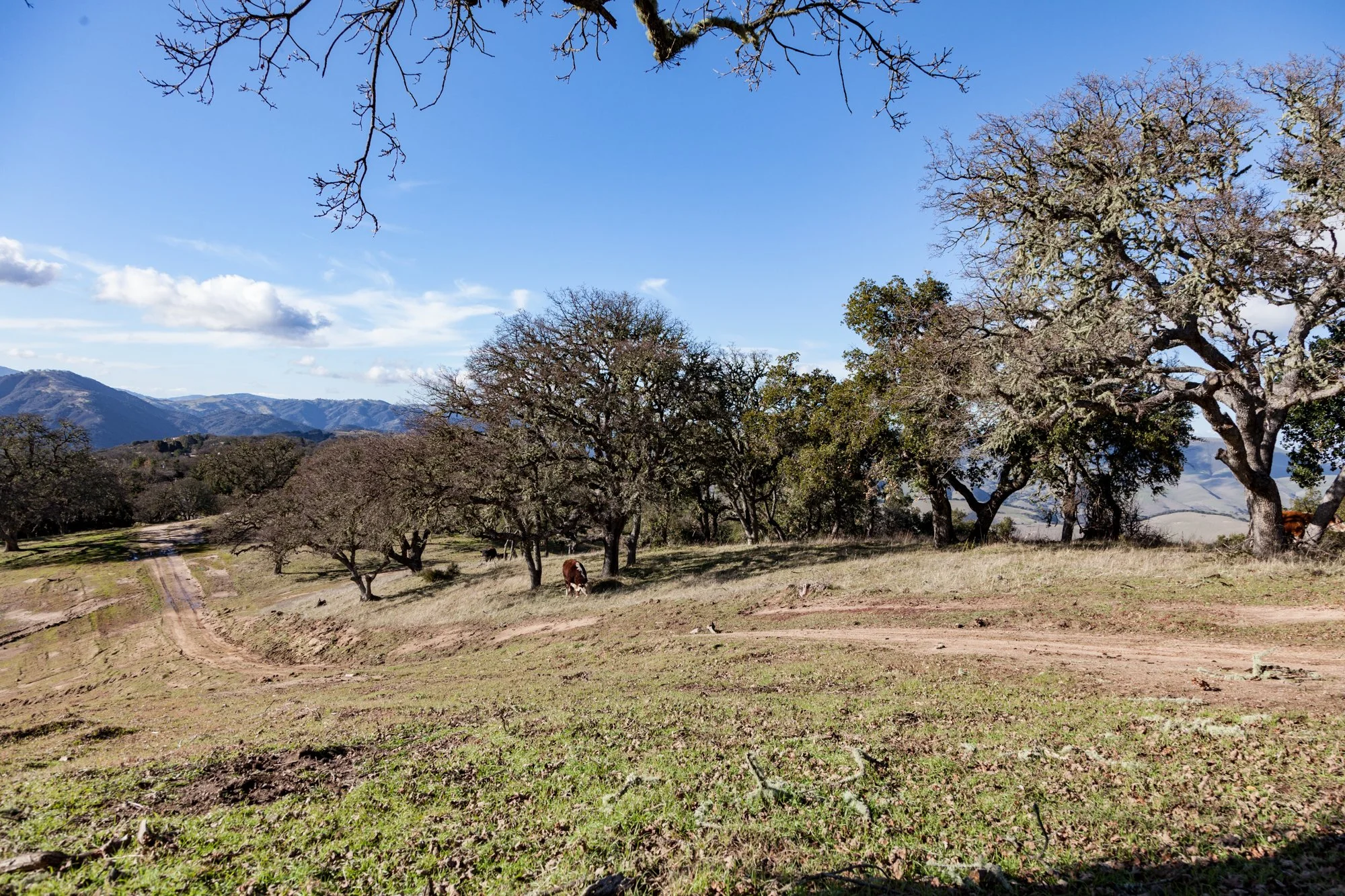 Rnch- Galante Ranch & Vineyards - Carmel Valley - 7.jpg