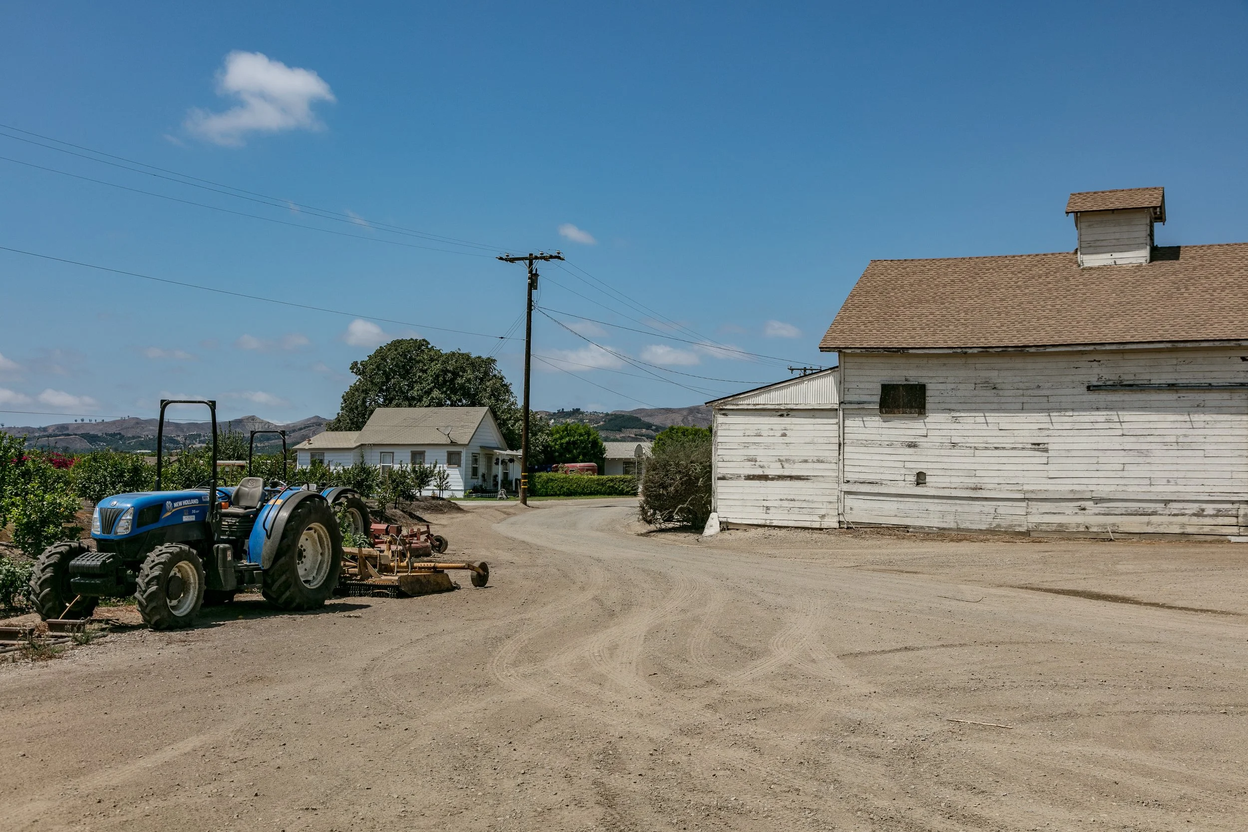 Limoneira Farms - Santa Paula -63.jpg