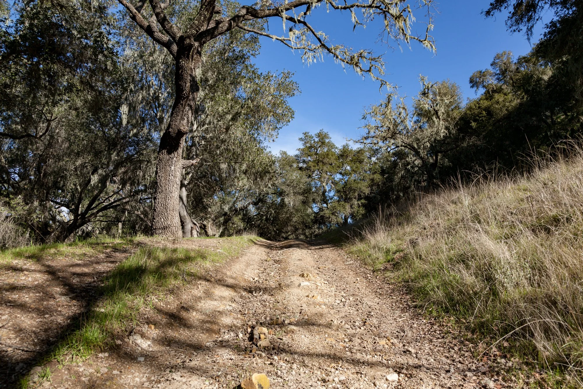 Rnch- Porter Ranch - Santa Maria - 35.jpg