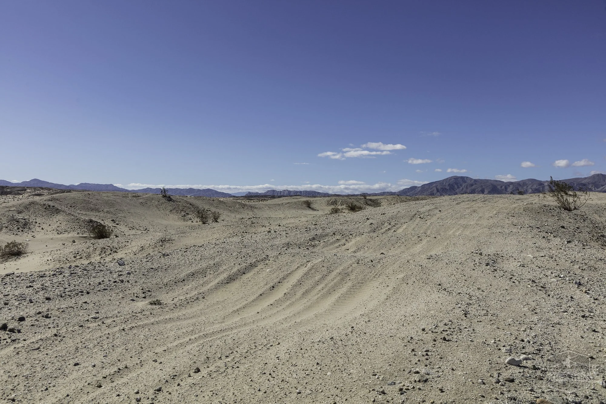 Ocotillo Wells SVRA - County Line Rd @ Dunes - 101525 -6.jpg
