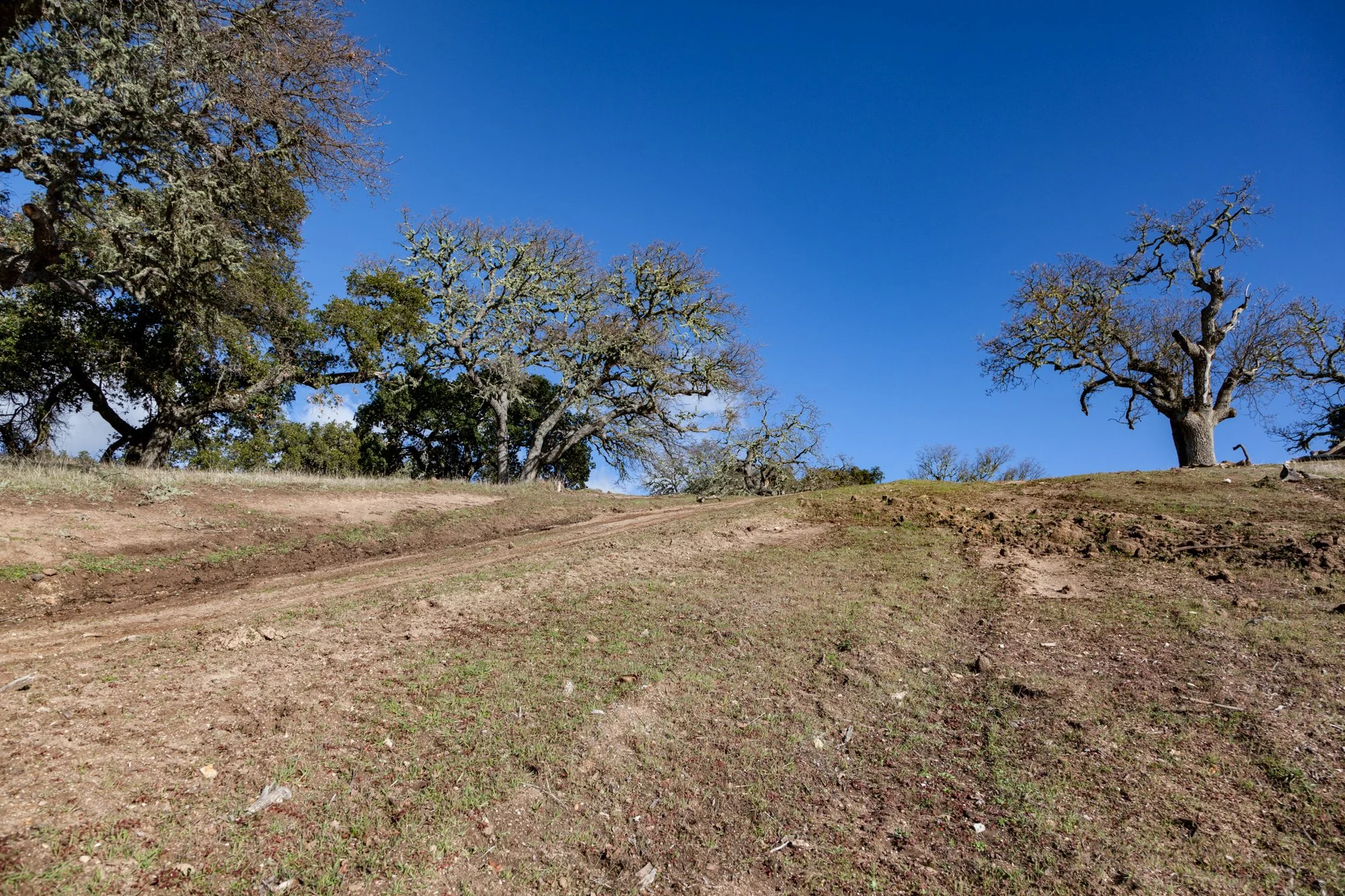Rnch- Galante Ranch & Vineyards - Carmel Valley - 2.jpg