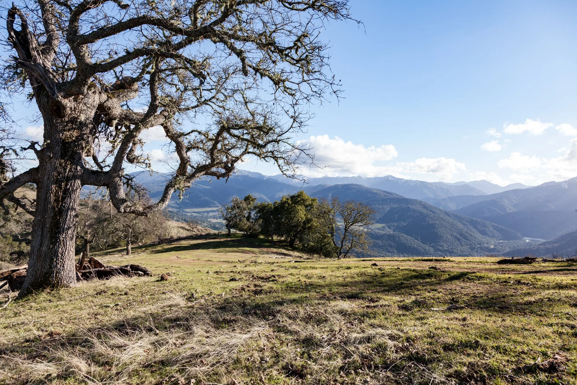 Rnch- Galante Ranch & Vineyards - Carmel Valley - 13.jpg