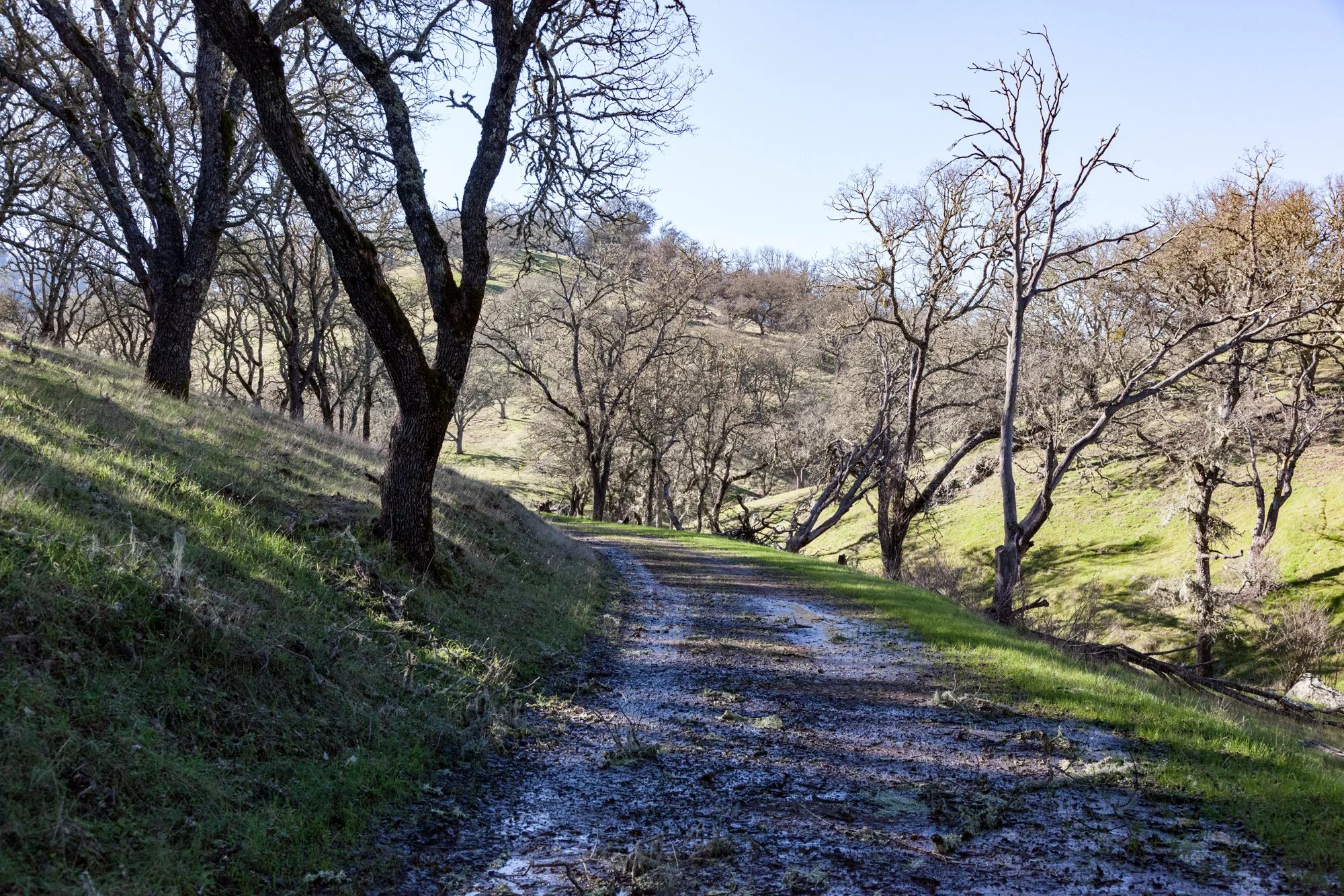 Rnch- Santa Margarita Ranch - 30.jpg