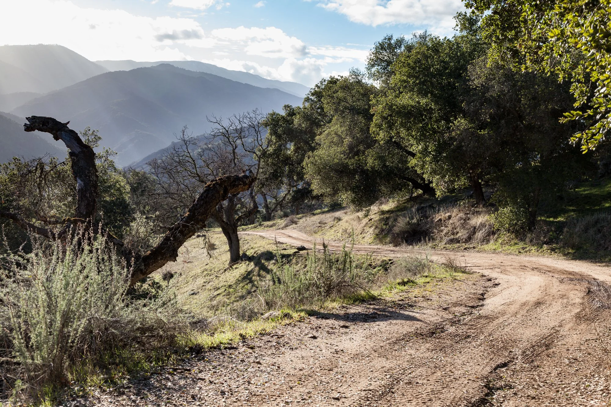 Rnch- Galante Ranch & Vineyards - Carmel Valley - 49.jpg