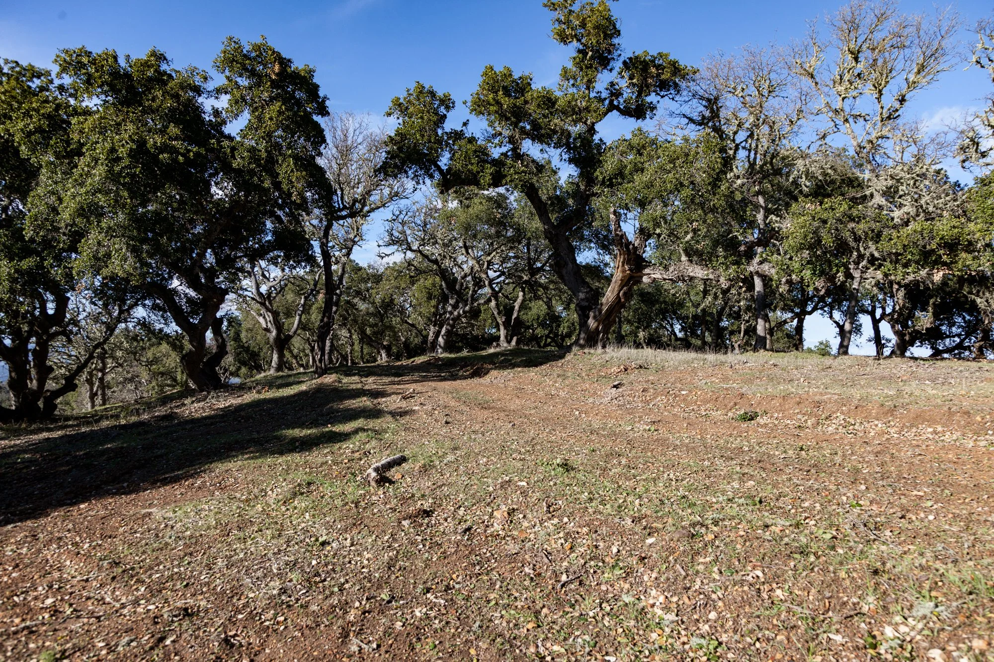 Rnch- Galante Ranch & Vineyards - Carmel Valley - 24.jpg