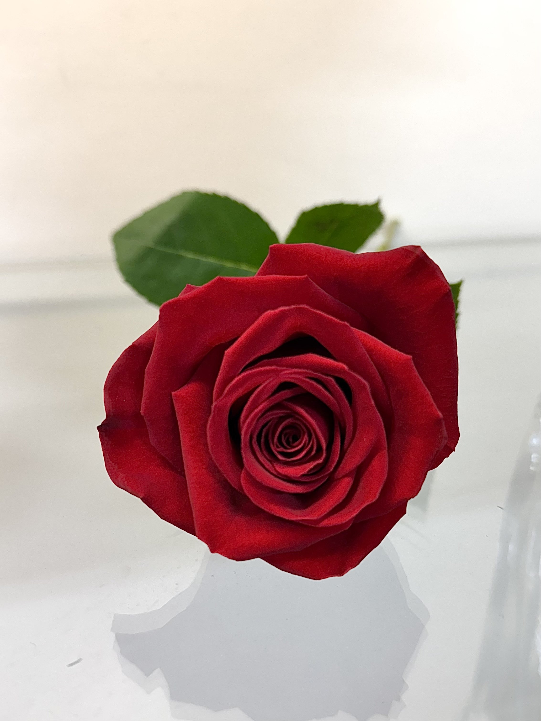 34F45A41-9D44-419C-8E1E-3C4C3BE21E95.jpeg