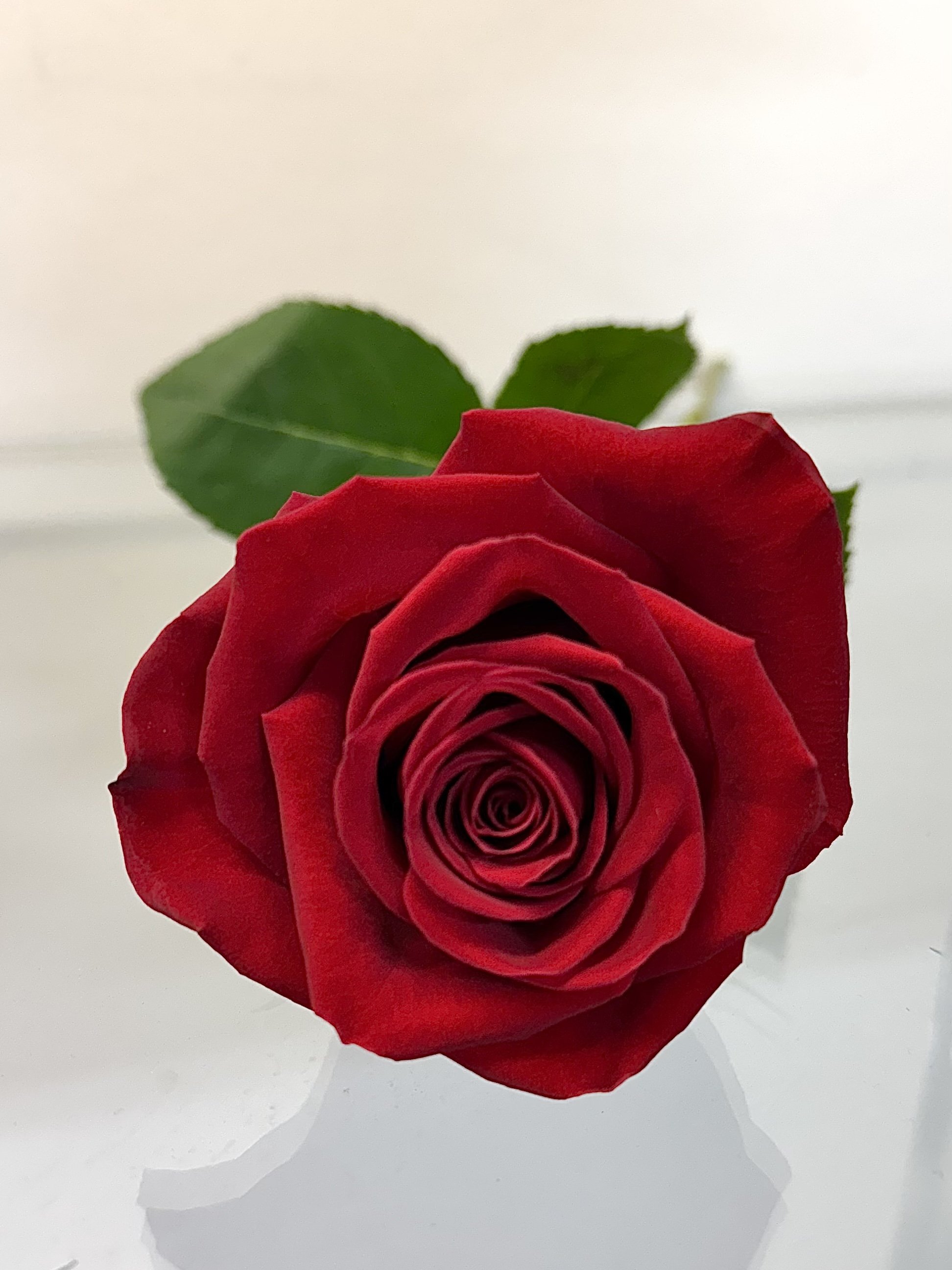 8C1A66B7-6EC6-4B3B-9437-ED982BE636EA.jpeg