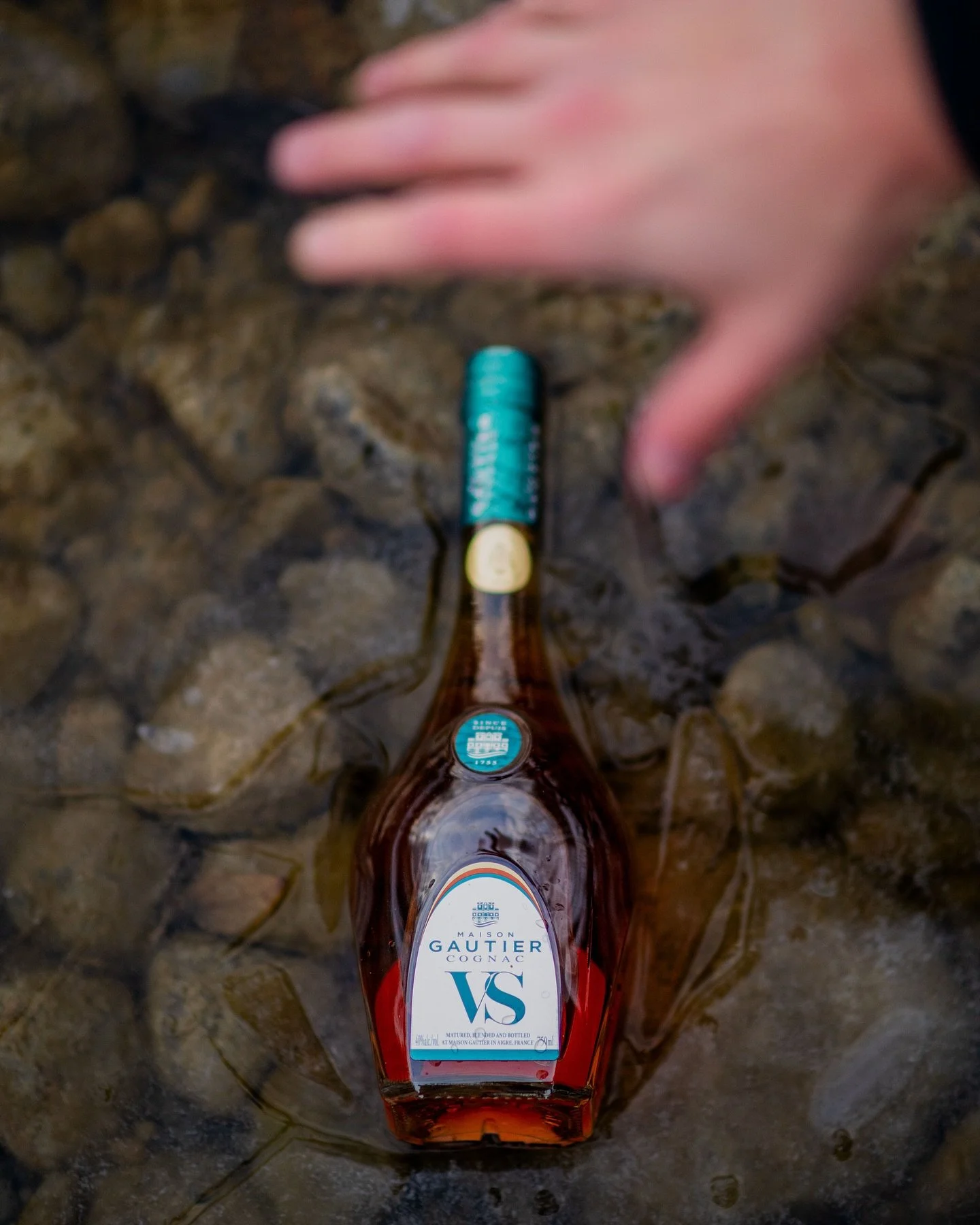 @cognacgautier is one of the oldest cognac producers, dating back to 1755 when they received a royal warrant to produce it by King Louis XV. But the Gautier family had been involved in the spirits business for a long time before this, they gained fam