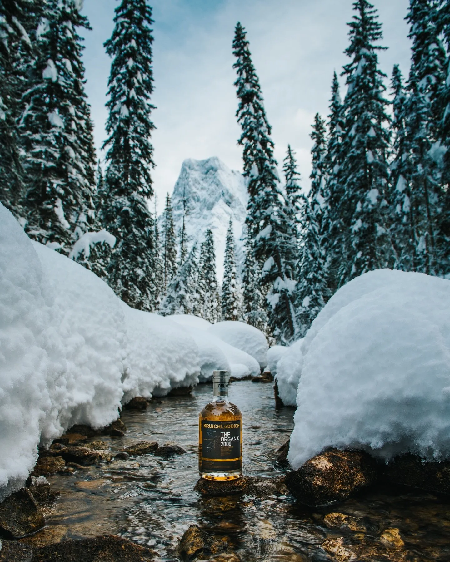 A 2009 vintage single malt from Bruichladdich, made with 100% organically grown Scottish barley. It&rsquo;s light and fresh with some outstanding fruity notes, a lovely little pour from our friends on Islay!