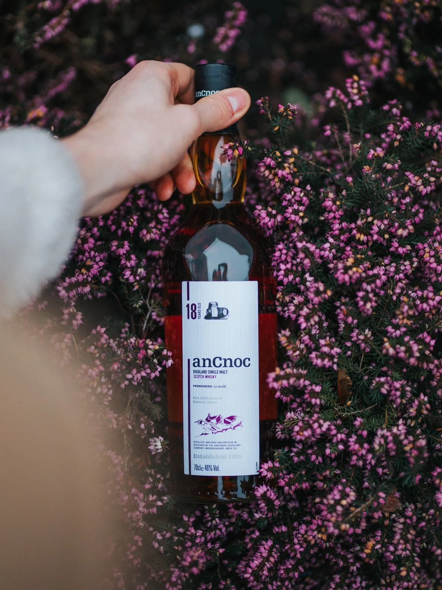 A tremendous value pour that just makes a lot of sense. It&rsquo;s an 18 year old expression that&rsquo;s non chill filtered, natural color, and 46%abv. Get it while you can because once it&rsquo;s gone&hellip; it&rsquo;s gone forever. 😢