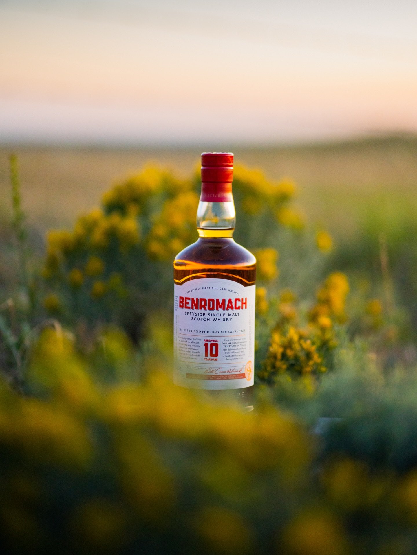 Tough to beat a day spent with the Benromach 10. A stellar place to start with the distillery, it&rsquo;s a genuinely satisfying pour at a very fair price. The kind of bottle that pulls you in and makes you want to explore the rest of the lineup. For