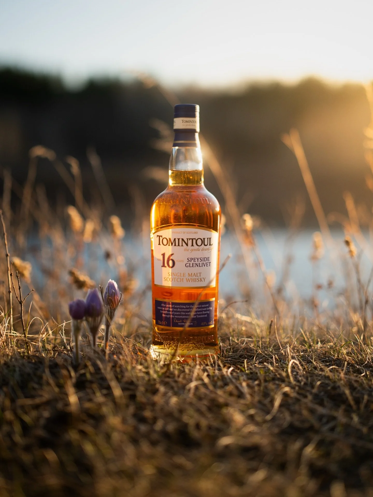 Because not all whisky needs to punch you in the mouth. 

They call Tomintoul a gentle whisky, it&rsquo;s good to note that gentle doesn&rsquo;t mean boring. Gentle means approachable, not offensive, warming, enjoyable. That&rsquo;s what you get when