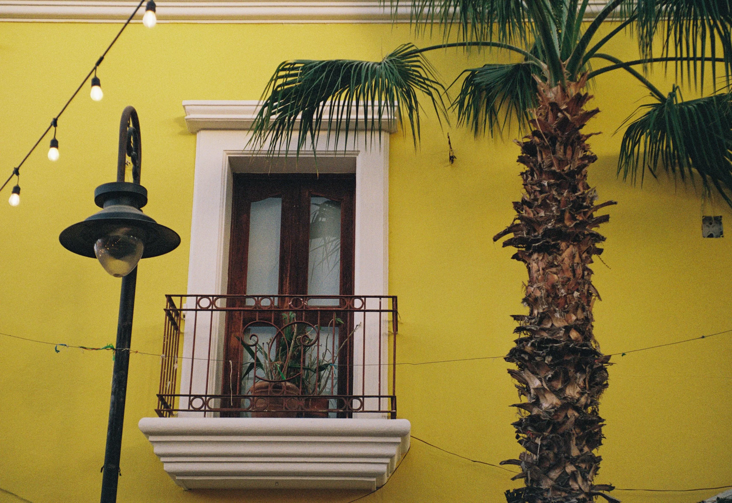 Baja California Sur, MX (2026)