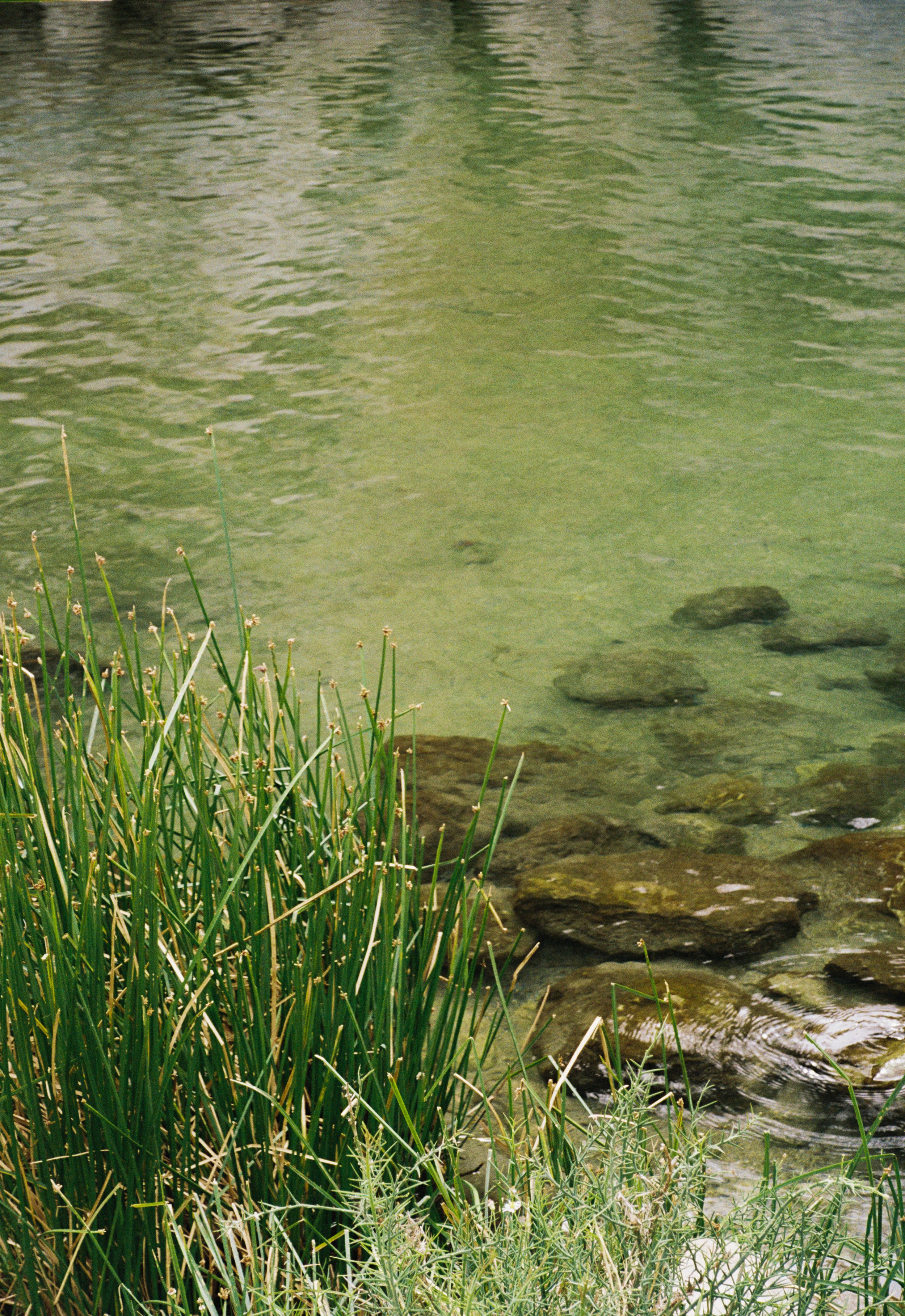 Baja California Sur, MX (2026)