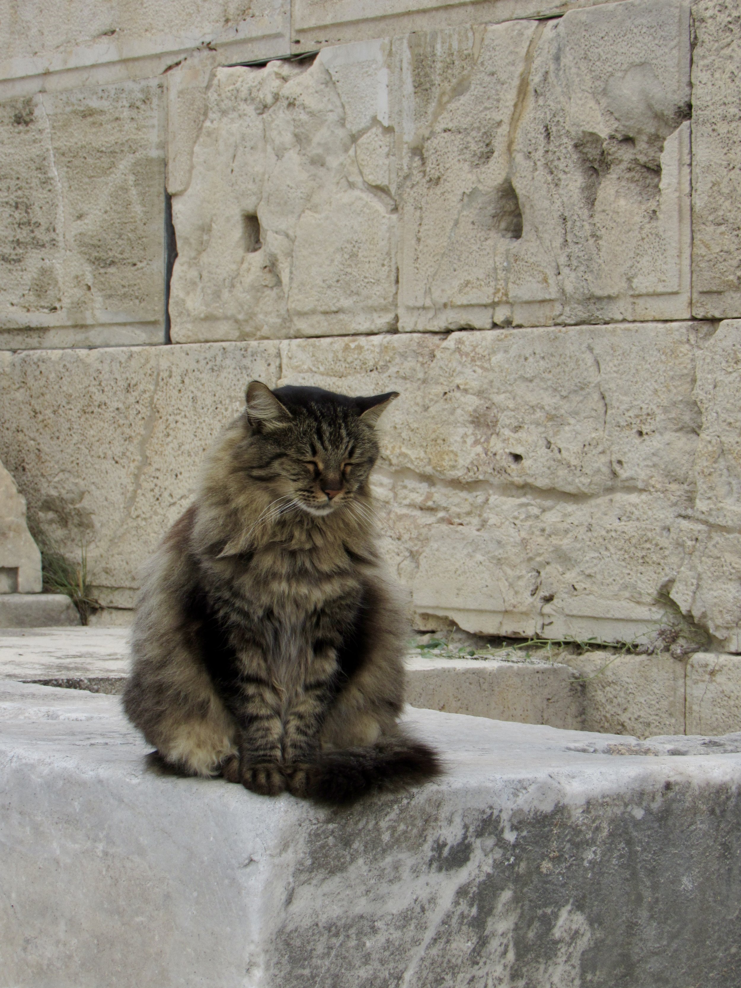 Athens, GR (2023)