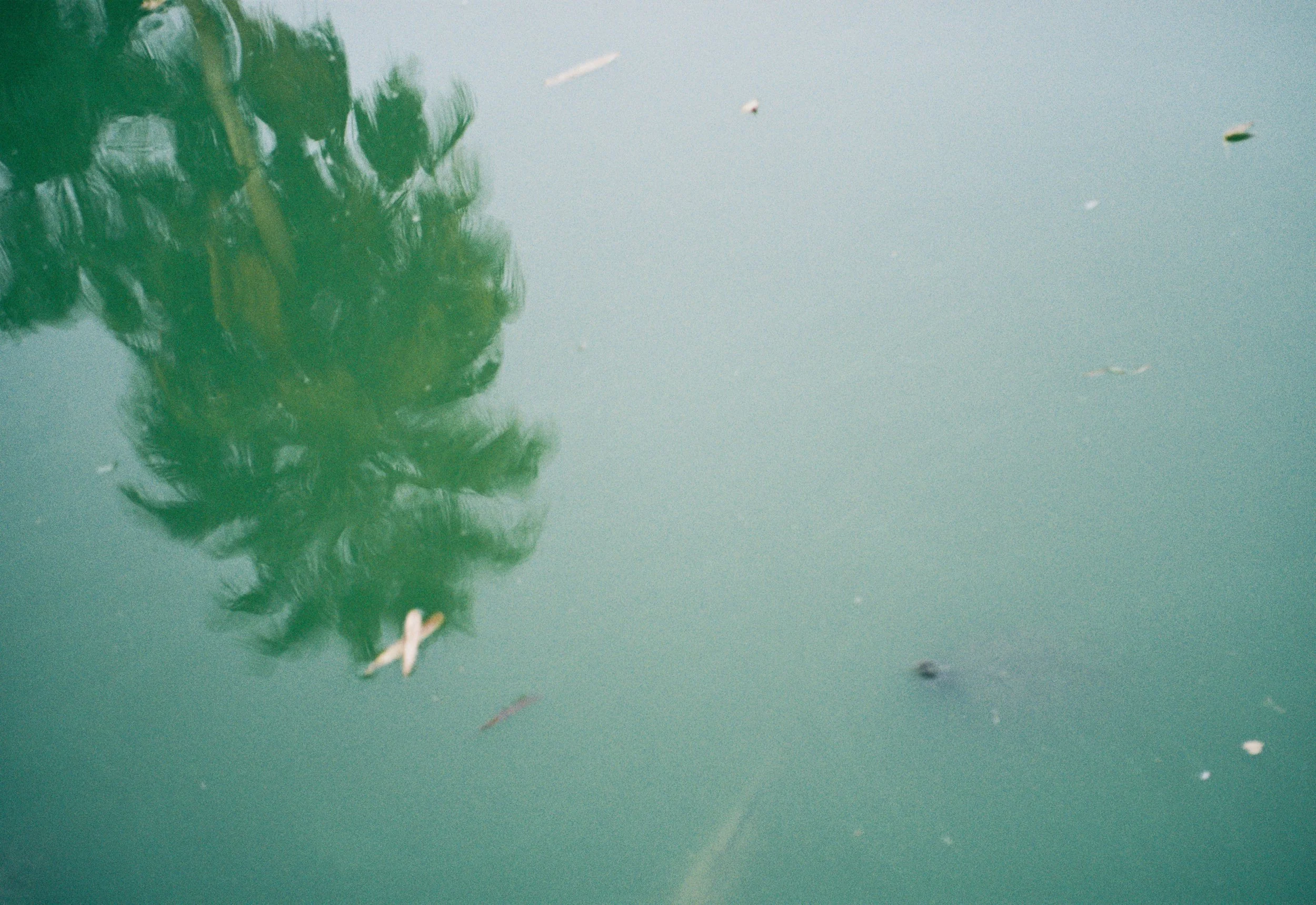 Baja California Sur, MX (2026)