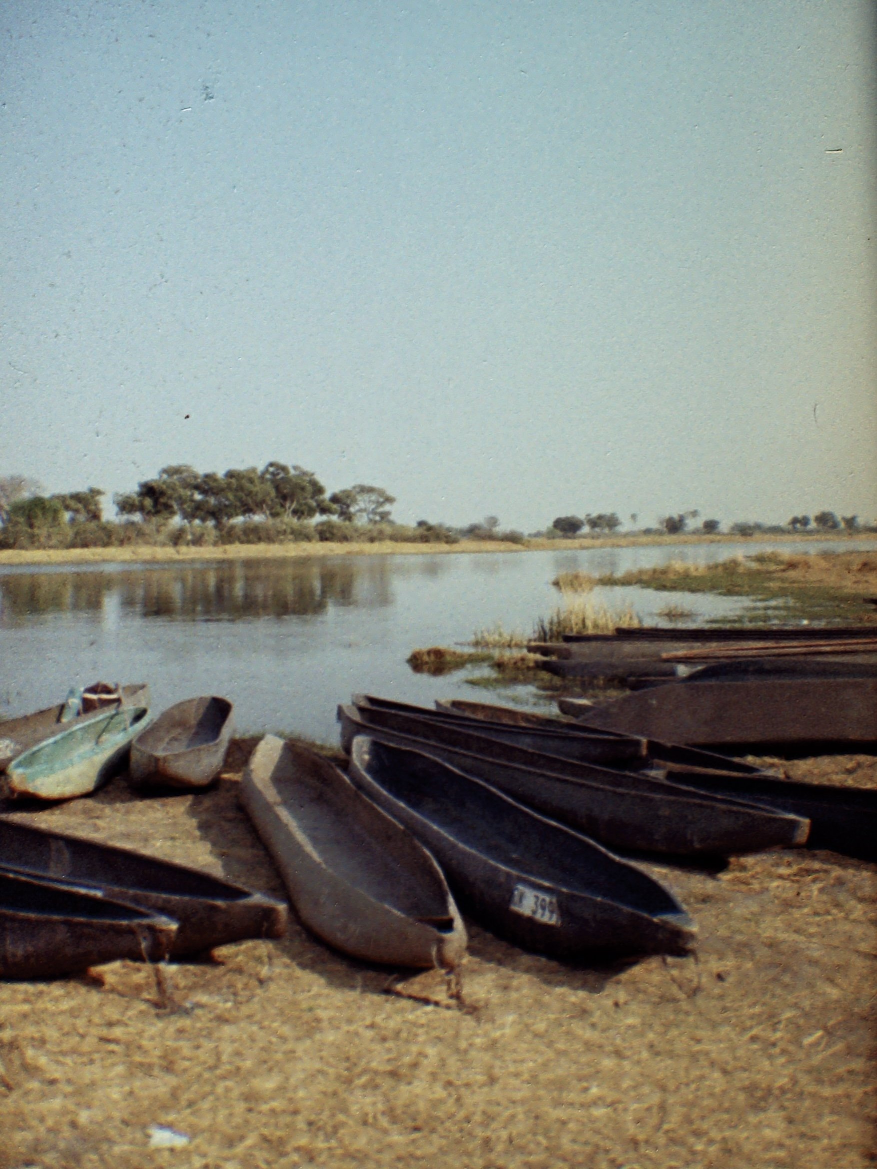 Okavango Delta, BW (2024)
