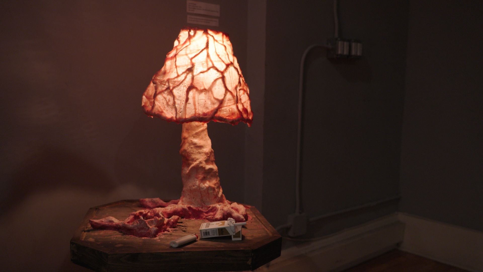 Still 2026-02-20 212028_1.12.1.png