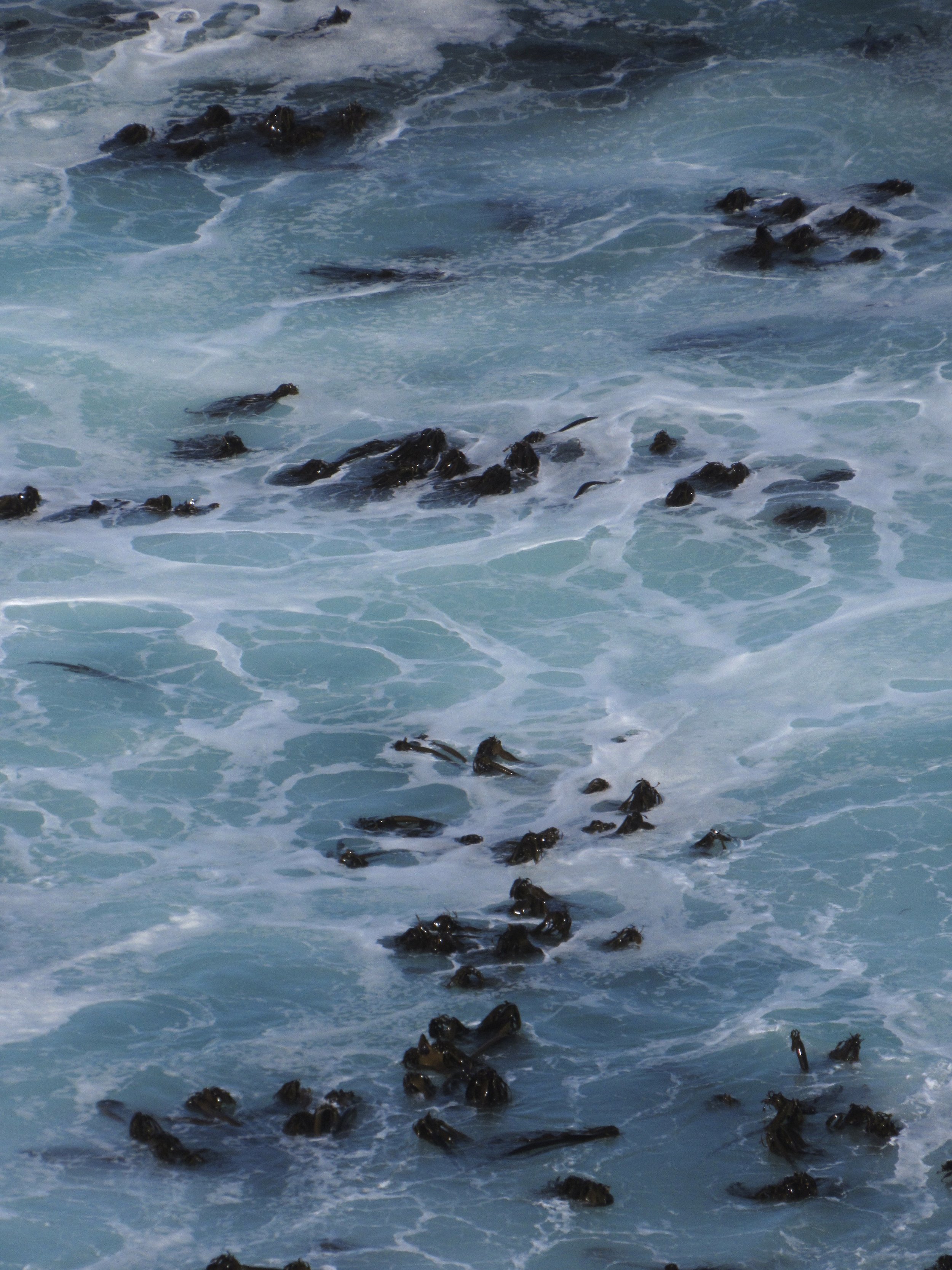 Cape of Good Hope, ZA (2024)