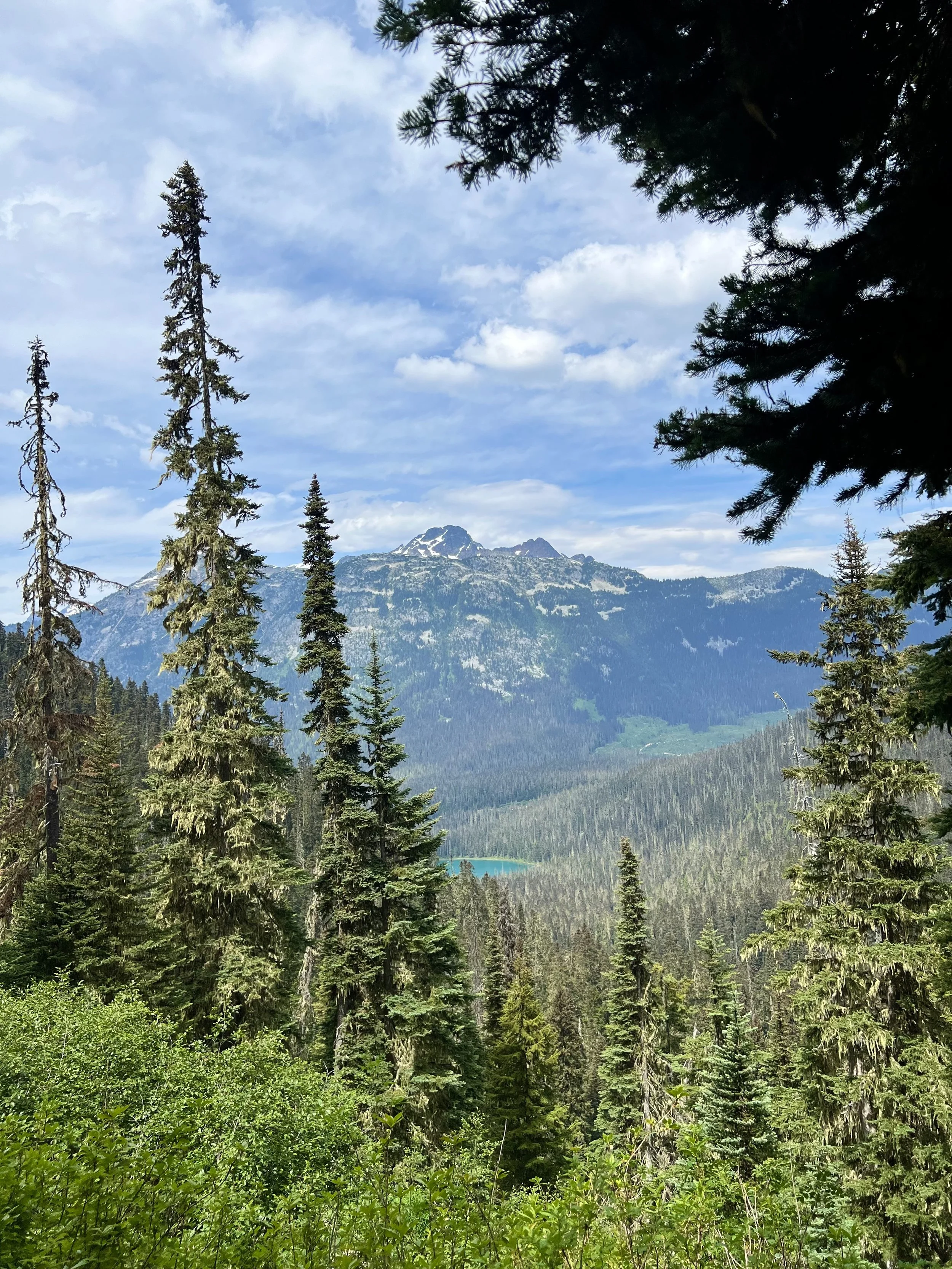 IMG_5297.jpeg