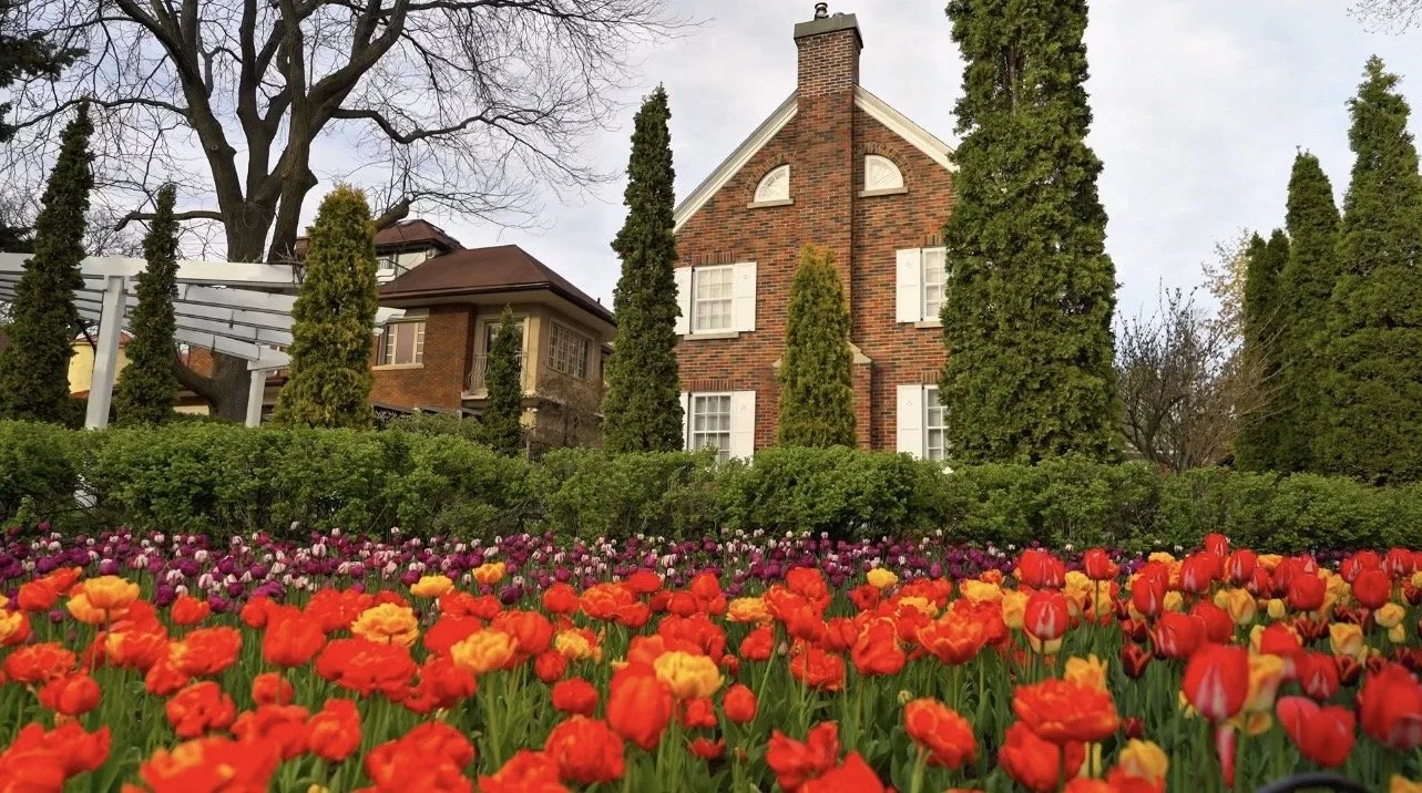 Tourism Ottawa - Tulip Festival