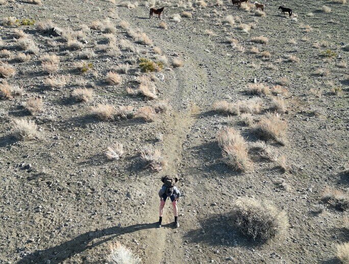 Great NV morning for the @mtntough_fitness March challenge. 

After shutting down all the internal excuses for not doing it (I was traveling for work, the trail was new to me, a mountain lion might eat me, the hotel gym looked nice) I had an awesome 