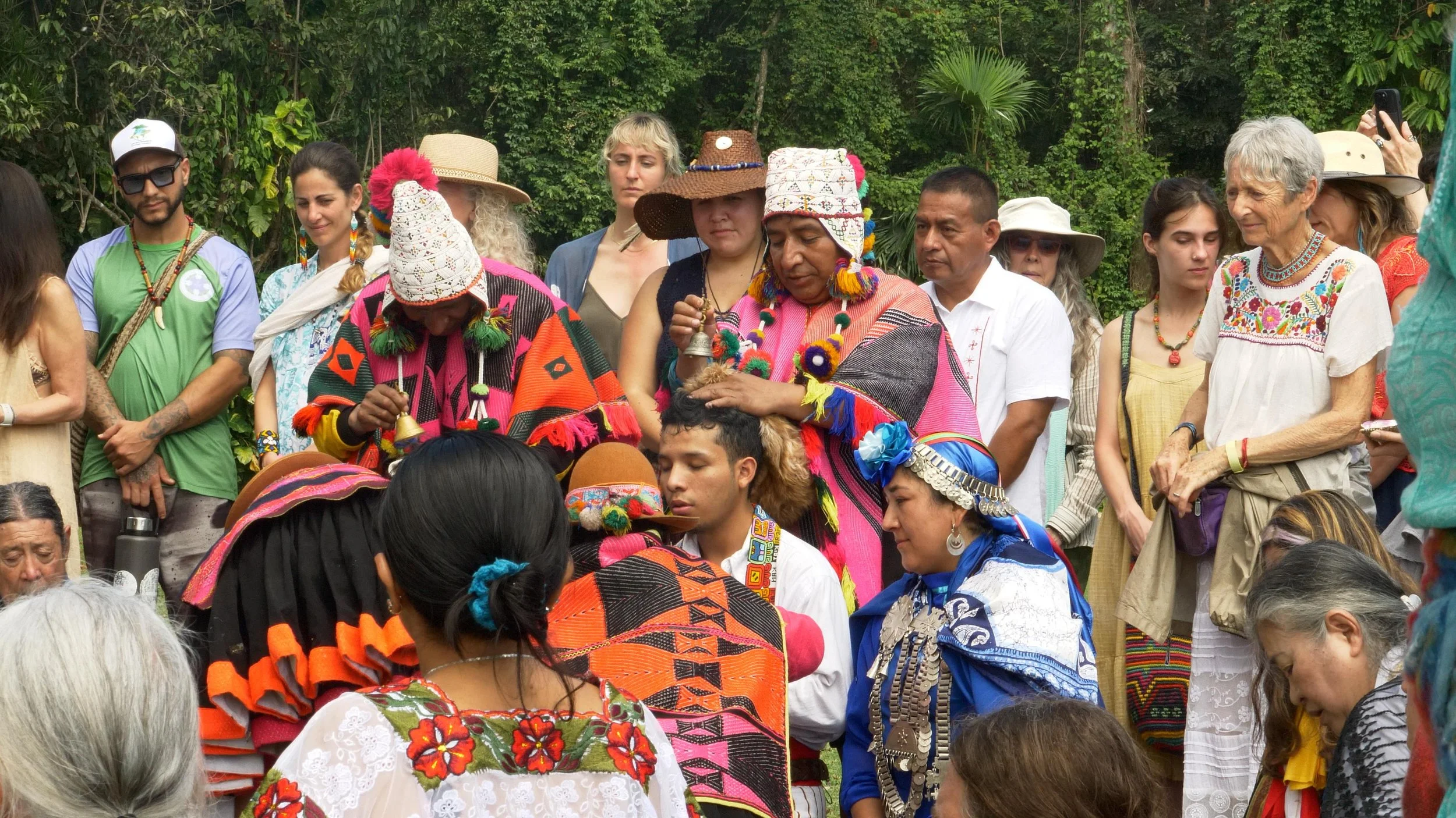 WhatsApp Image 2026-02-16 at 11.37.33.jpeg