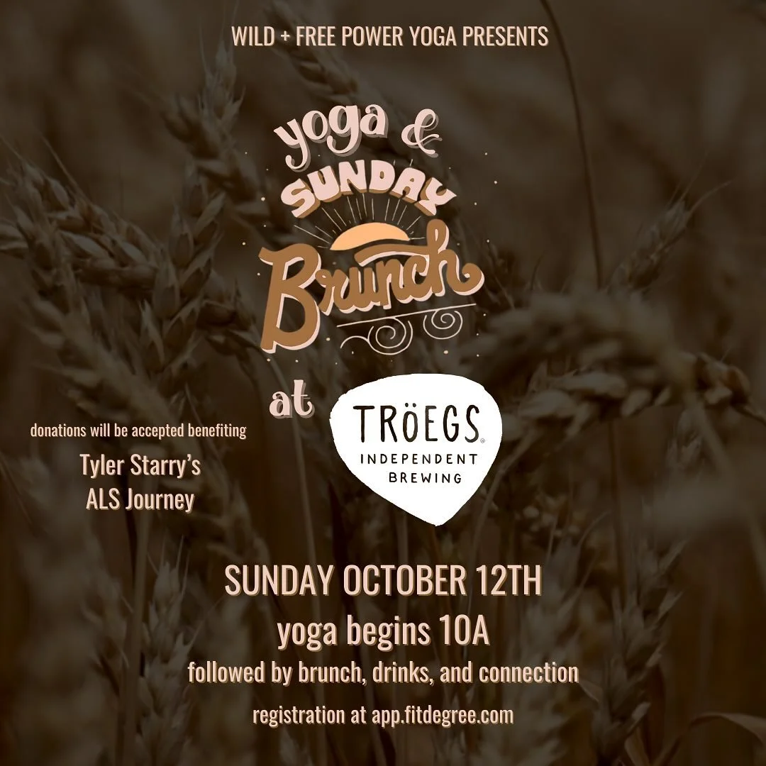 YOGA &amp; SUNDAY BRUNCH 🧘&zwj;♀️🍳🍺

Second Sunday @troegs_hershey is back in October!  free yoga and connection, maybe some eggs and an IPA&hellip;. Cheers 🍻

Join us for our free signature 60 minute Power Flow class in the brewery and then shif
