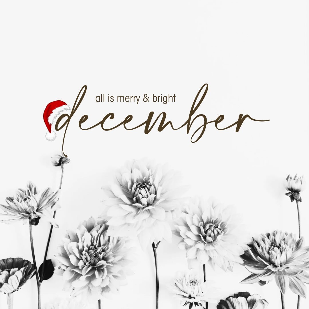 Sneak Peek DECEMBER 🫣🎄

All is merry, bright, and still warm as a summer day inside the studio🔥 

get cozy with us this month as you gift yourself this deserved time, space, and peace during a busy season. 

🎄Slow &amp; Scripted w/ @julesgrodensk