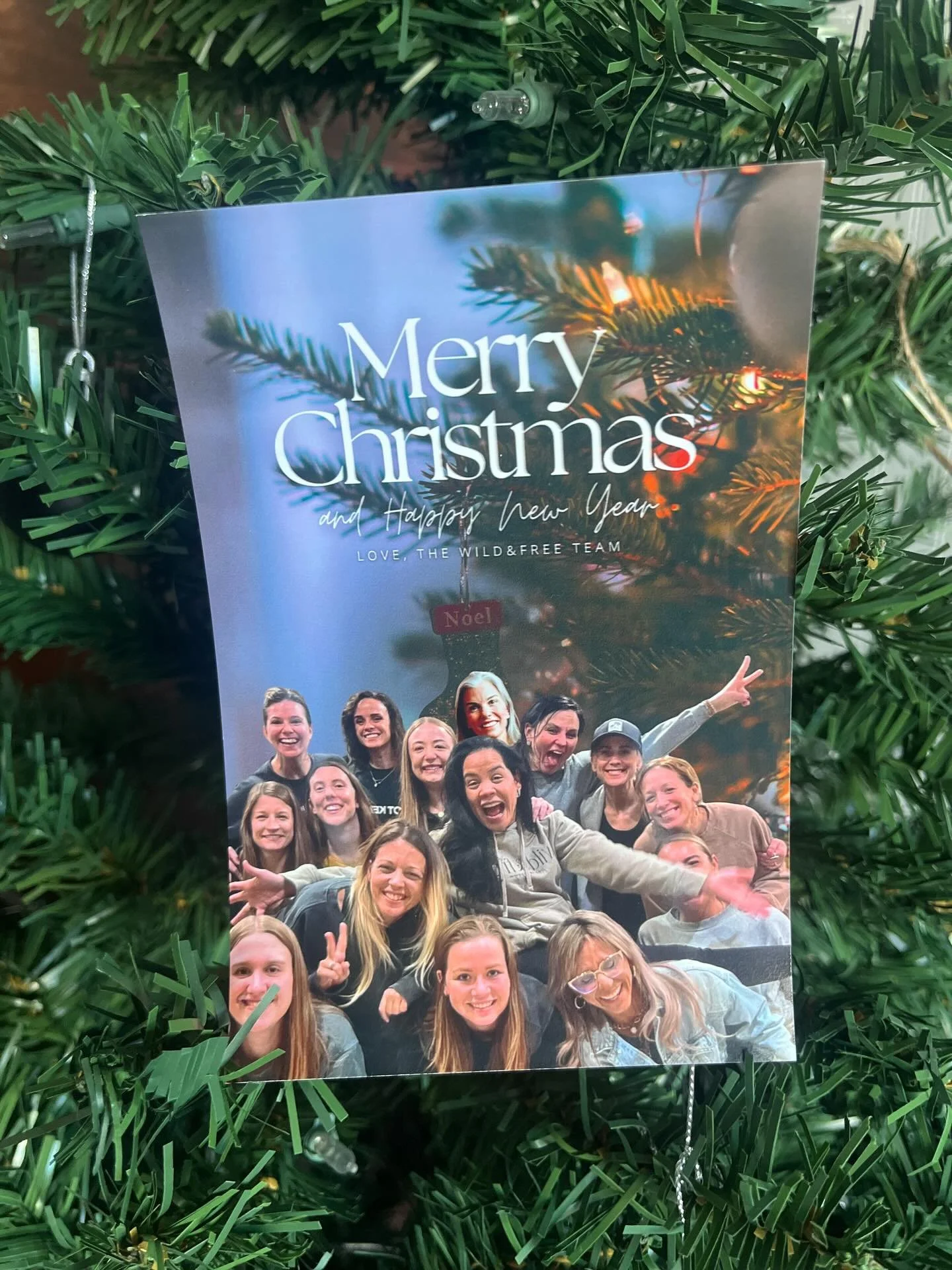 From our hearts to yours❤️💚❤️

Wishing you so many moments of softness and joy through this holiday season. 

with love,
the w&amp;f team