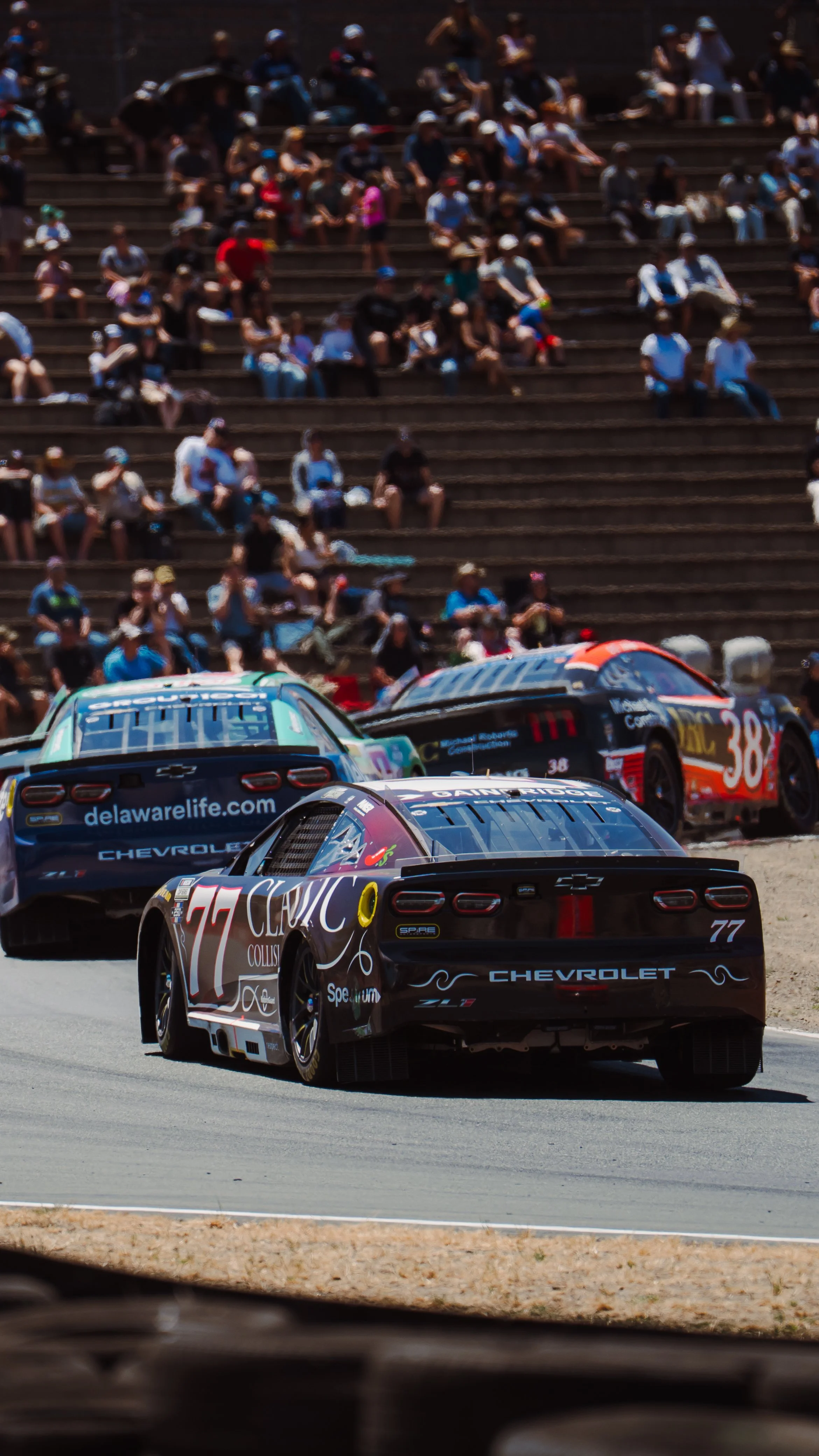 SONOMA-77-11.JPG