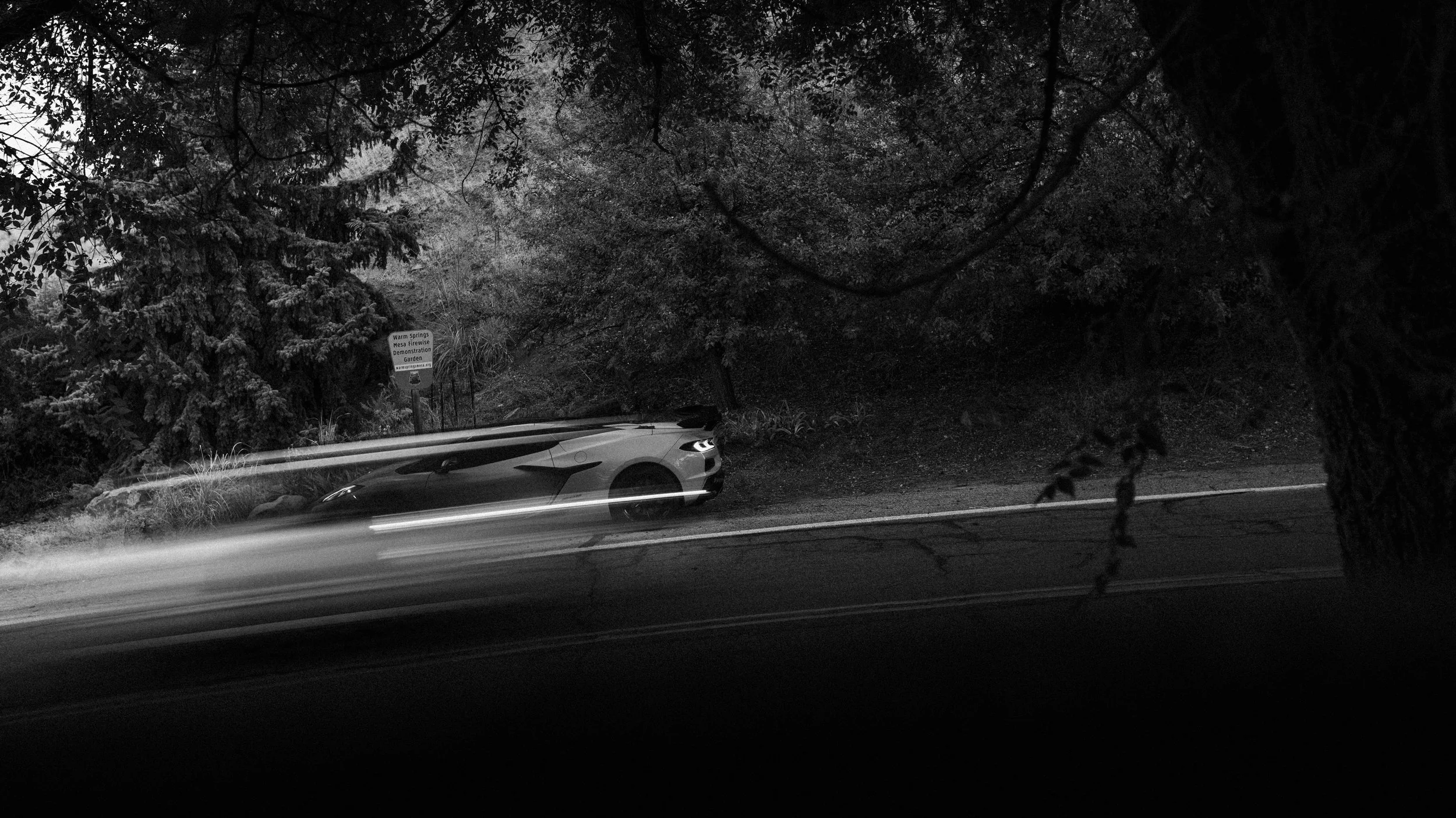 C8-Z06-6.JPG