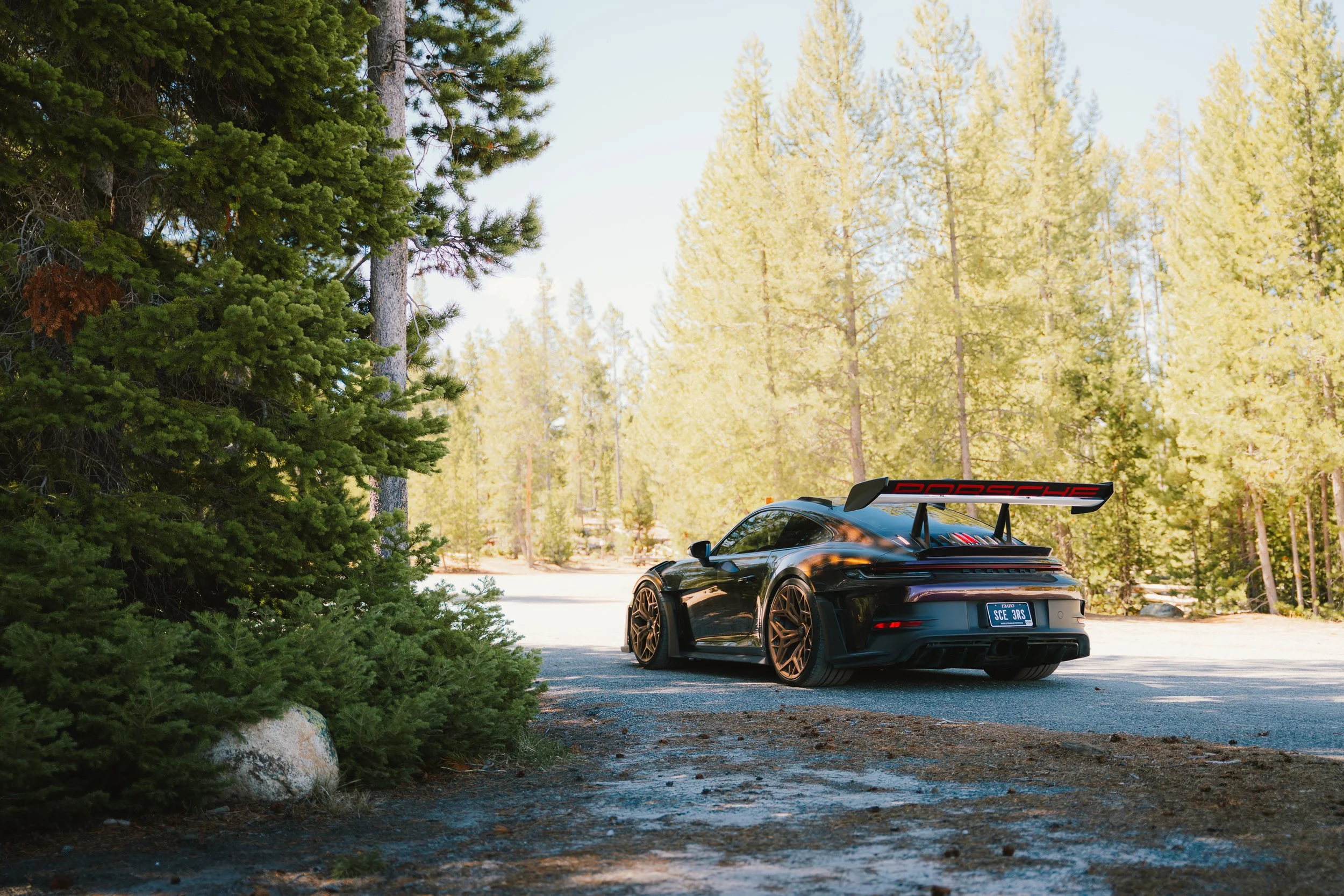 GT3RS-24.JPG