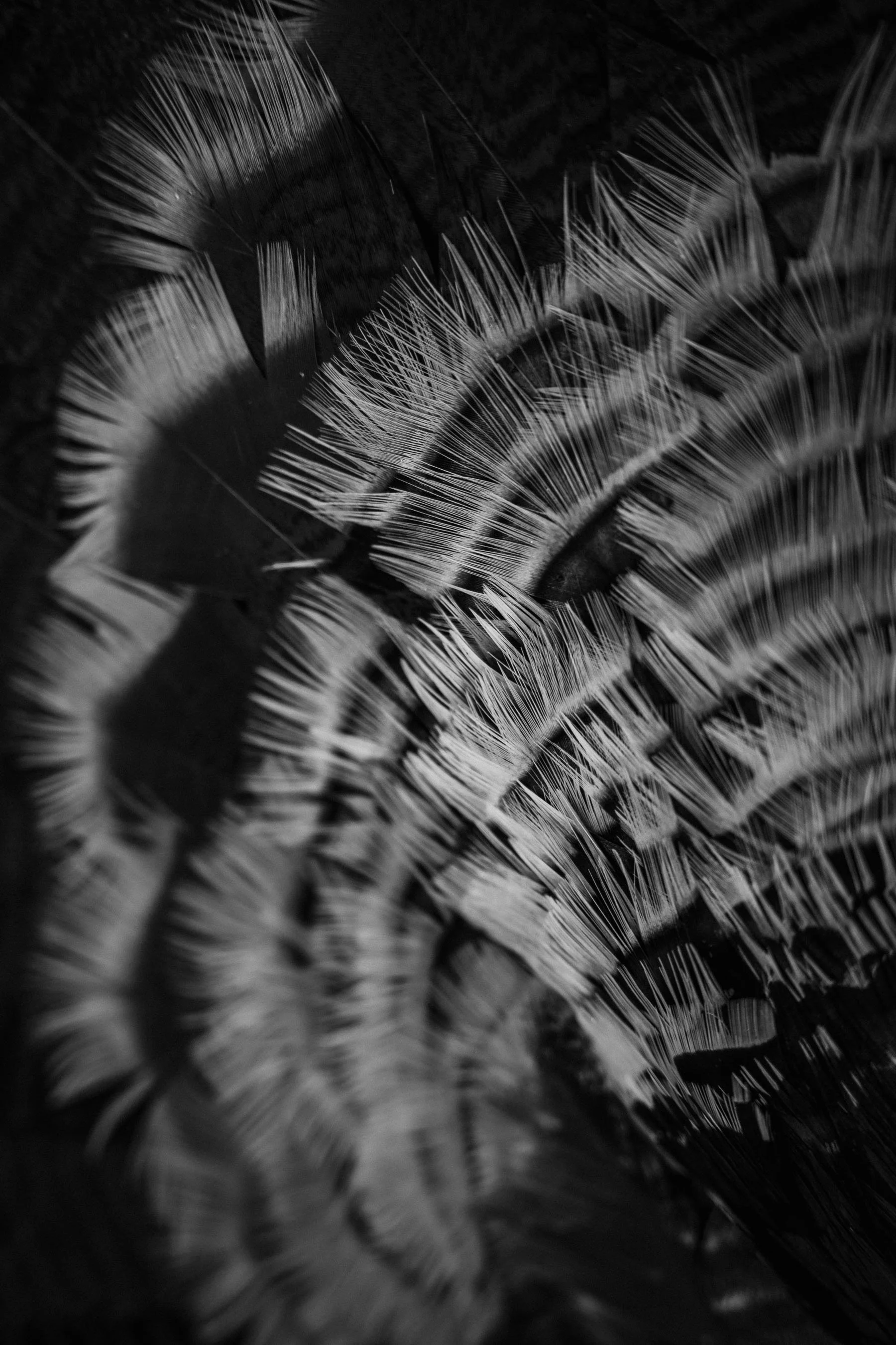 PORTFOLIO-9.jpg