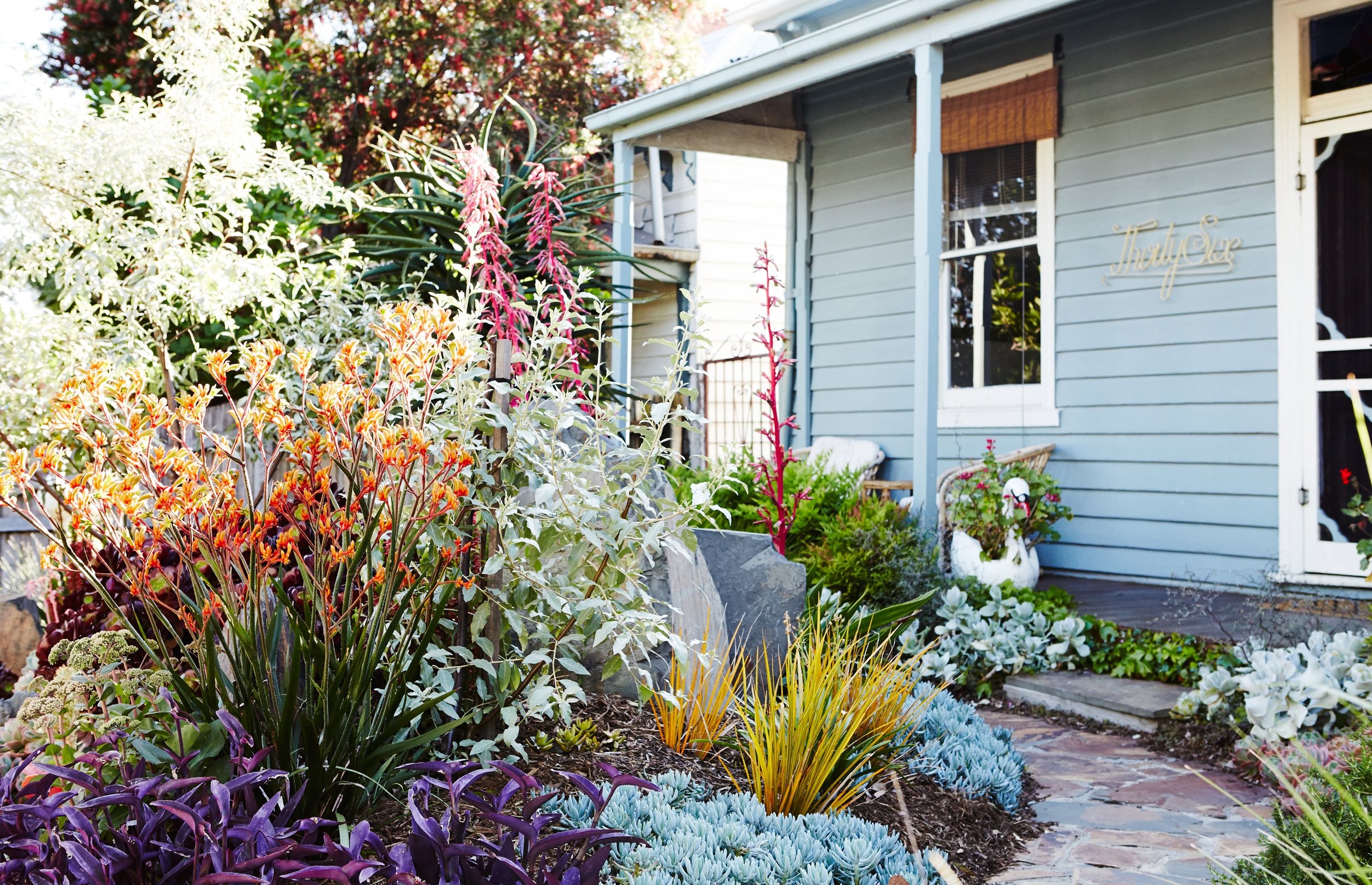 Landscape designer garden photographer Melbourne