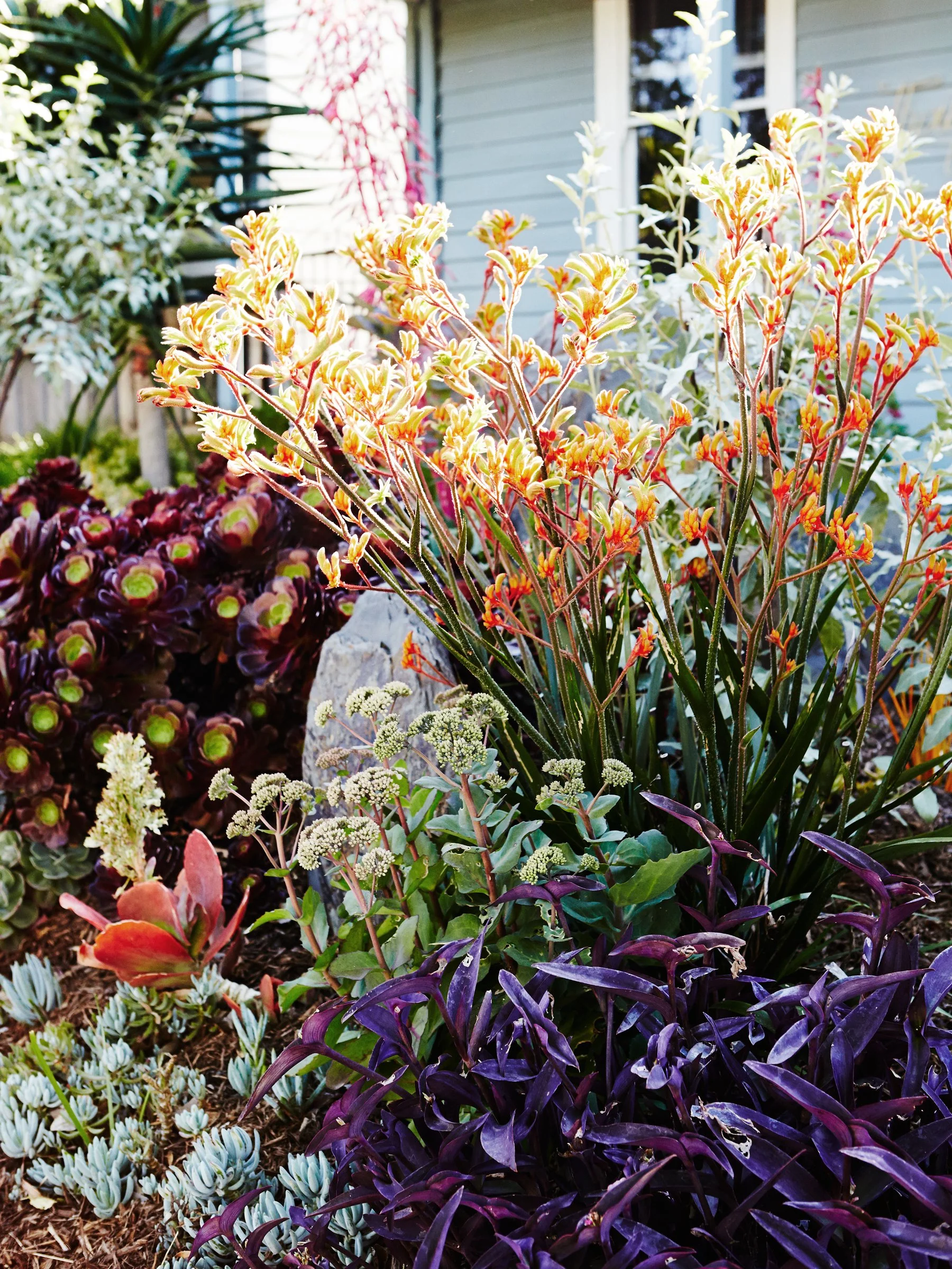 Landscape garden design photographer Melbourne.