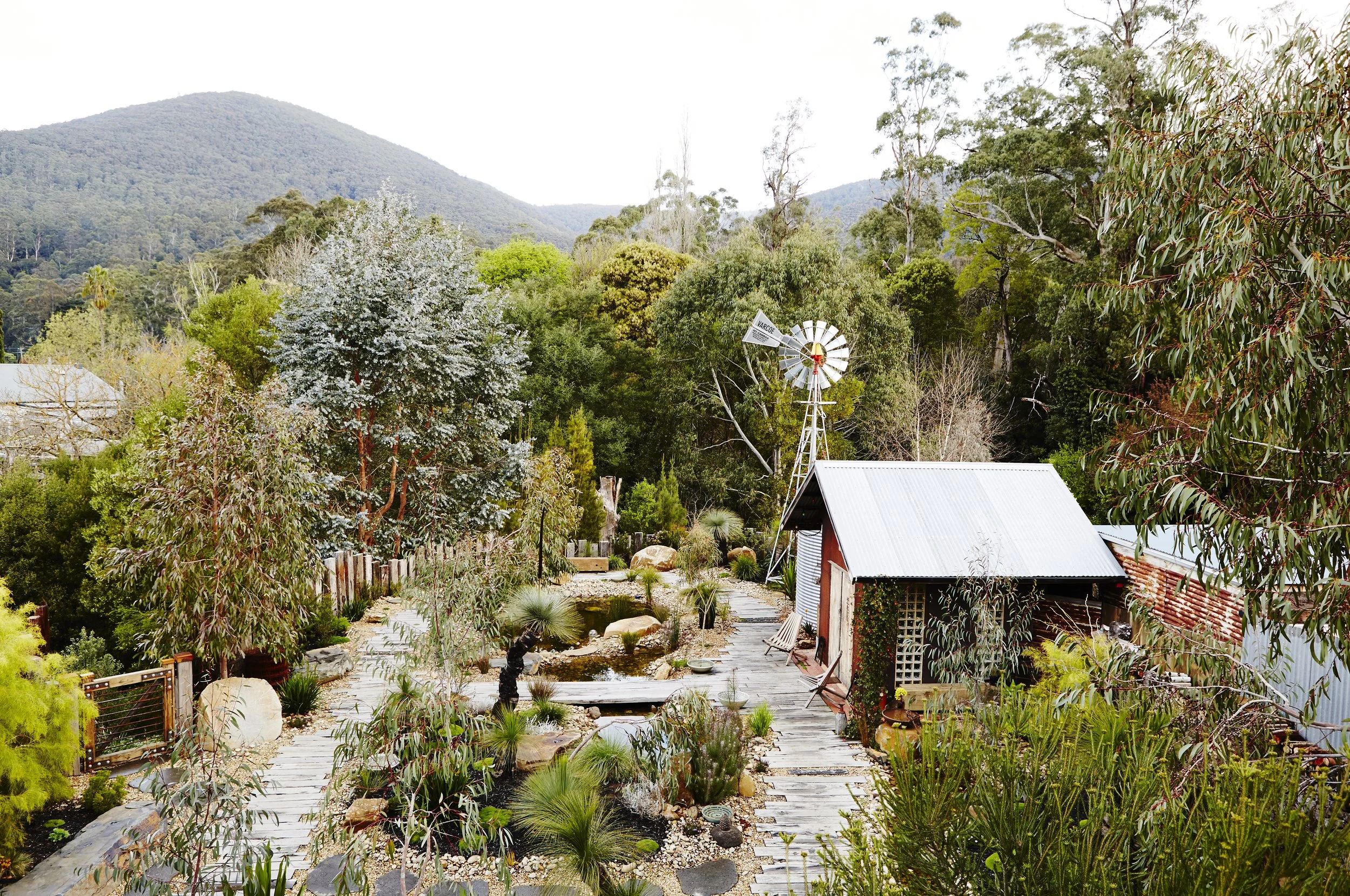 Image of native Australian garden in Victoria, photography for landscape designers in Melbourne