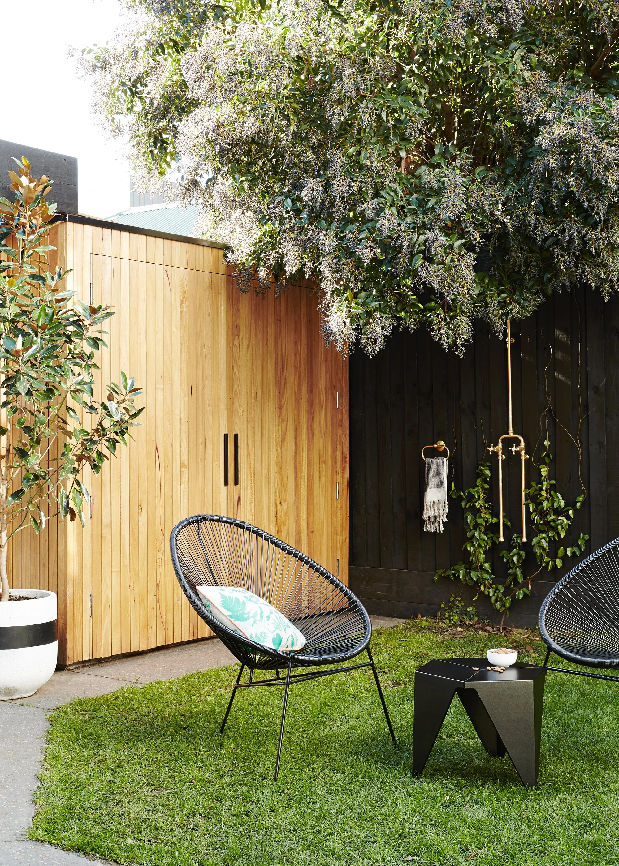 Melbourne backyard with chairs