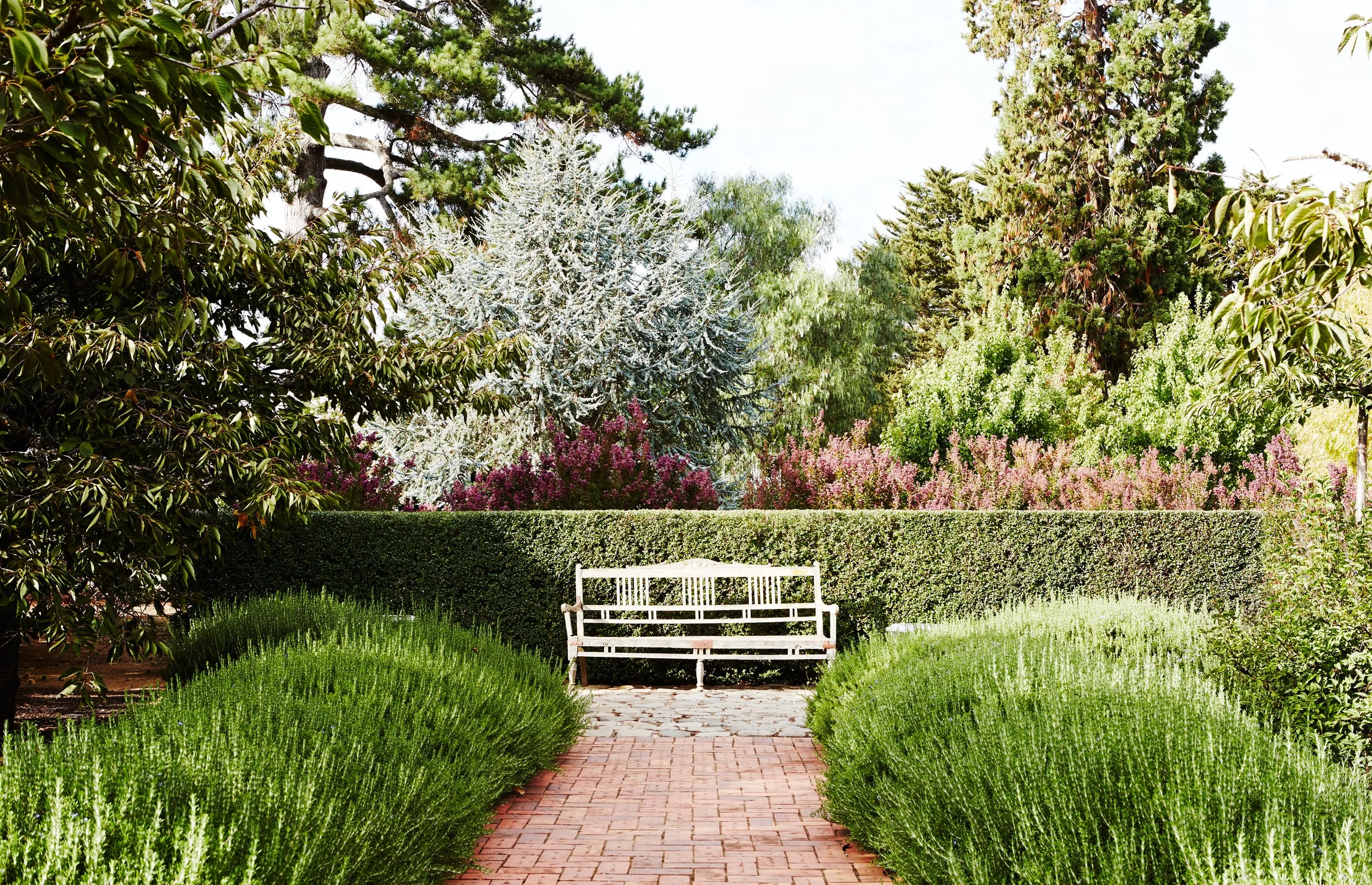 Landscape garden design photographer Melbourne.