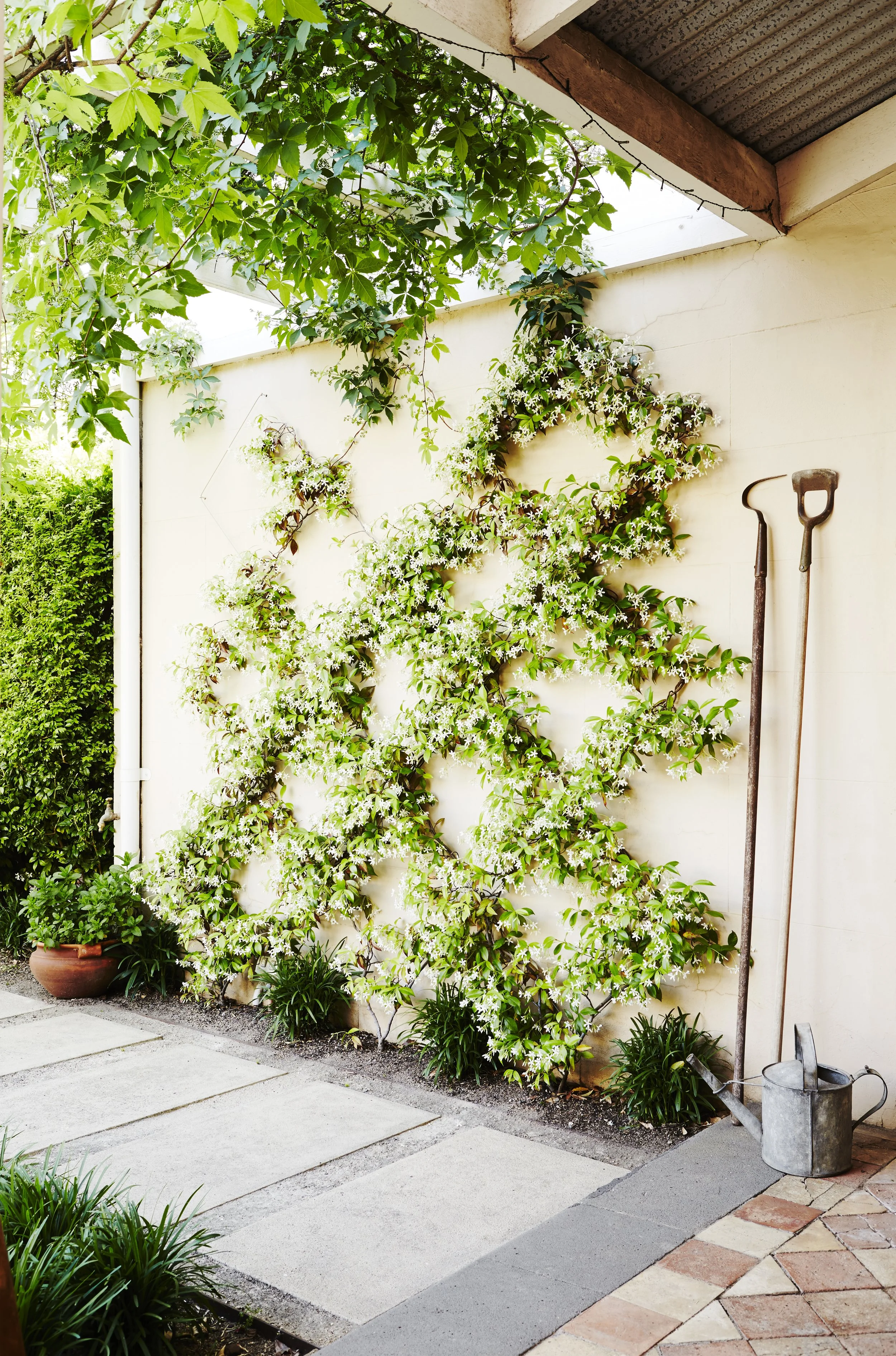 Landscape garden design photographer Melbourne.