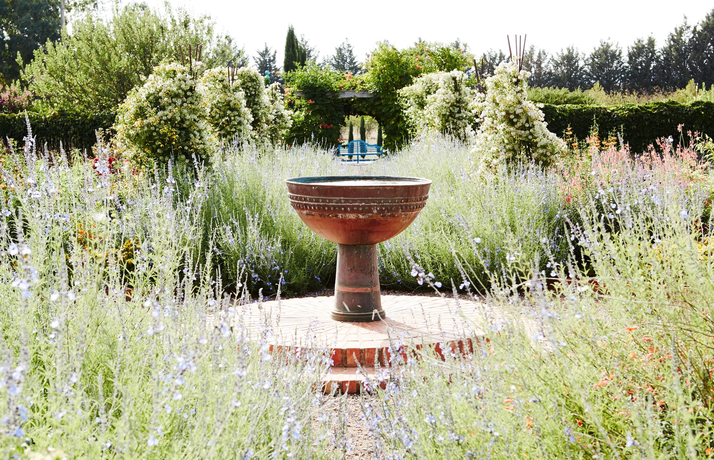 Landscape design photographer Melbourne. Lambley Nursery photography gardens