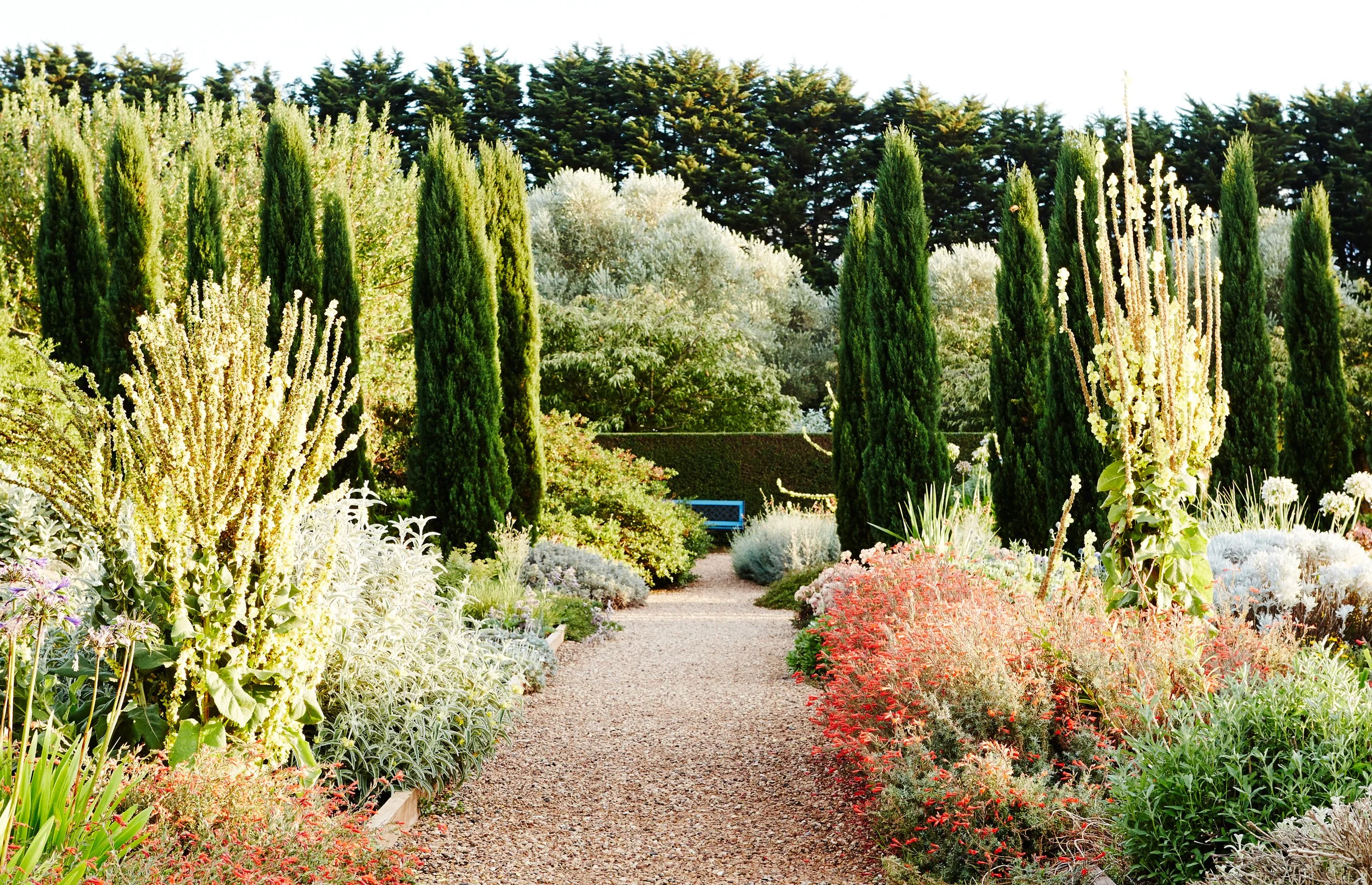 Landscape garden design photographer Melbourne.