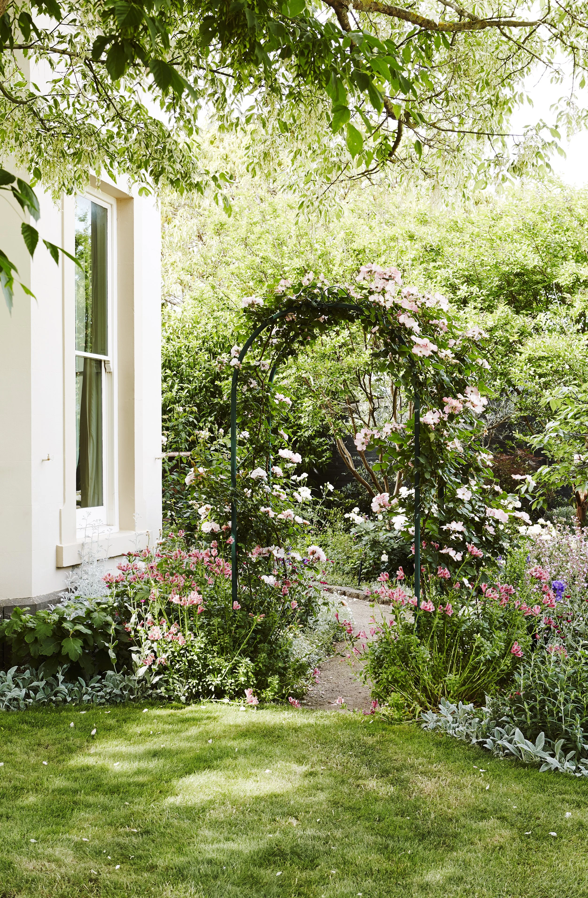 Garden photography Melbourne 