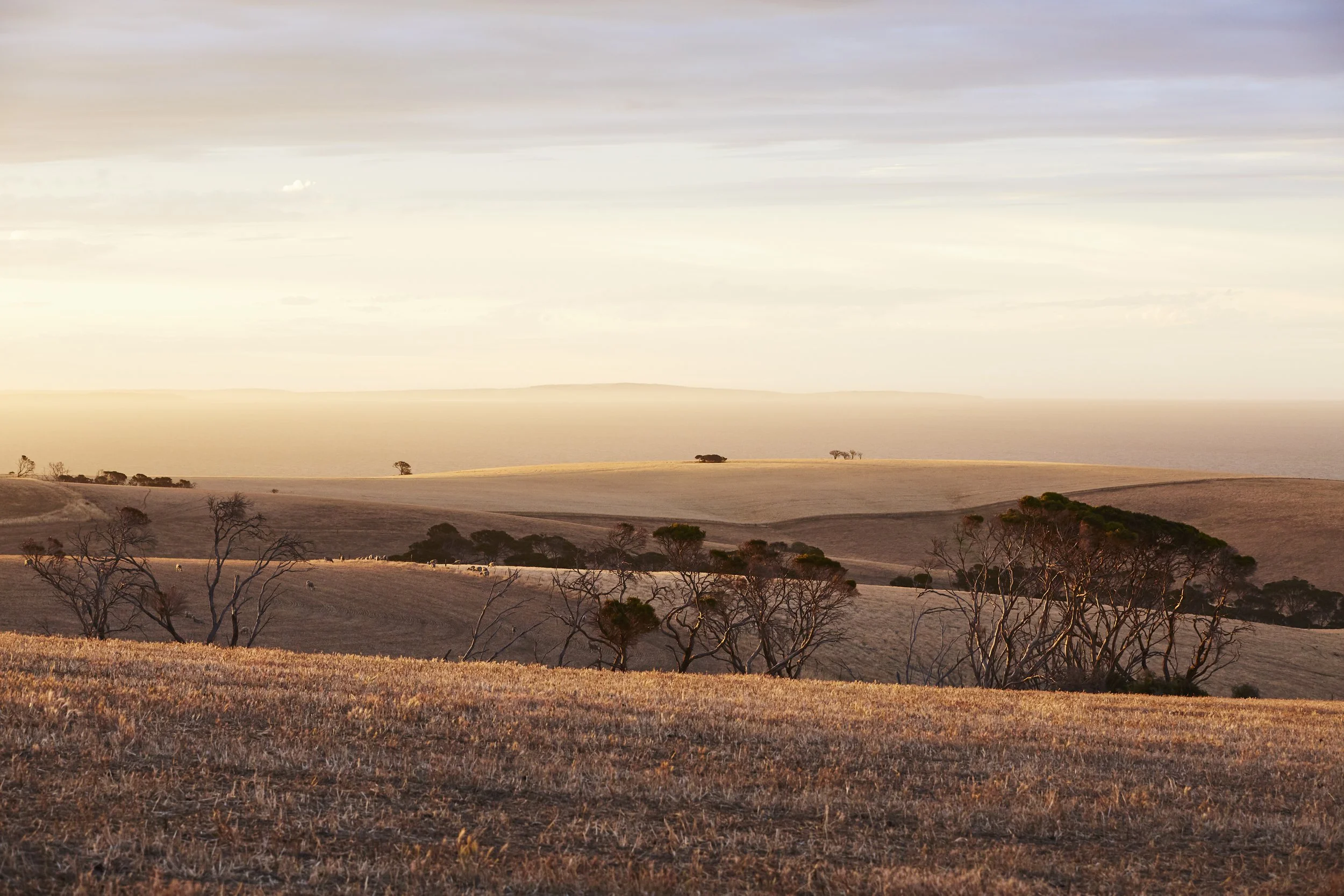 Landscape travel photographer Australia, Kangaroo Island sunset