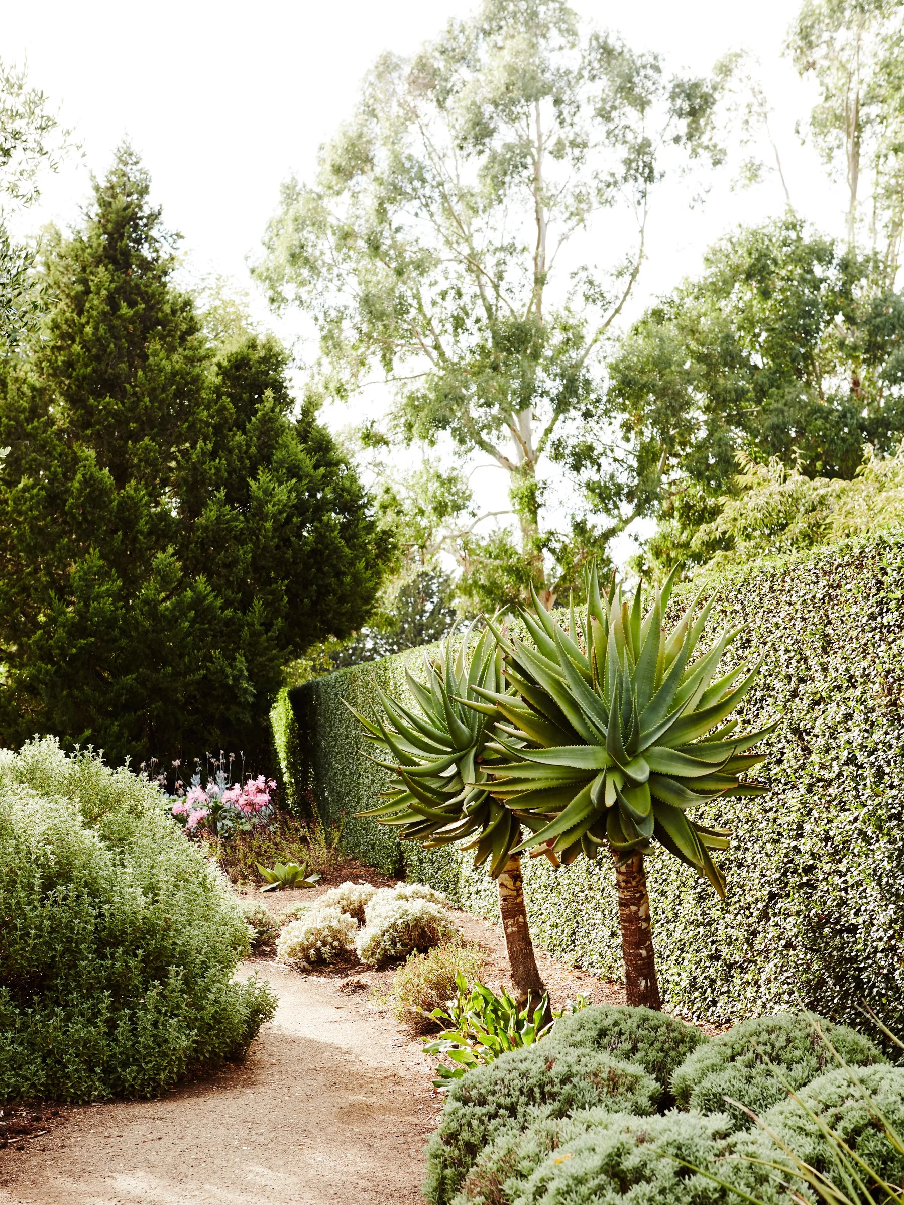 Photography for landscape designers and architects